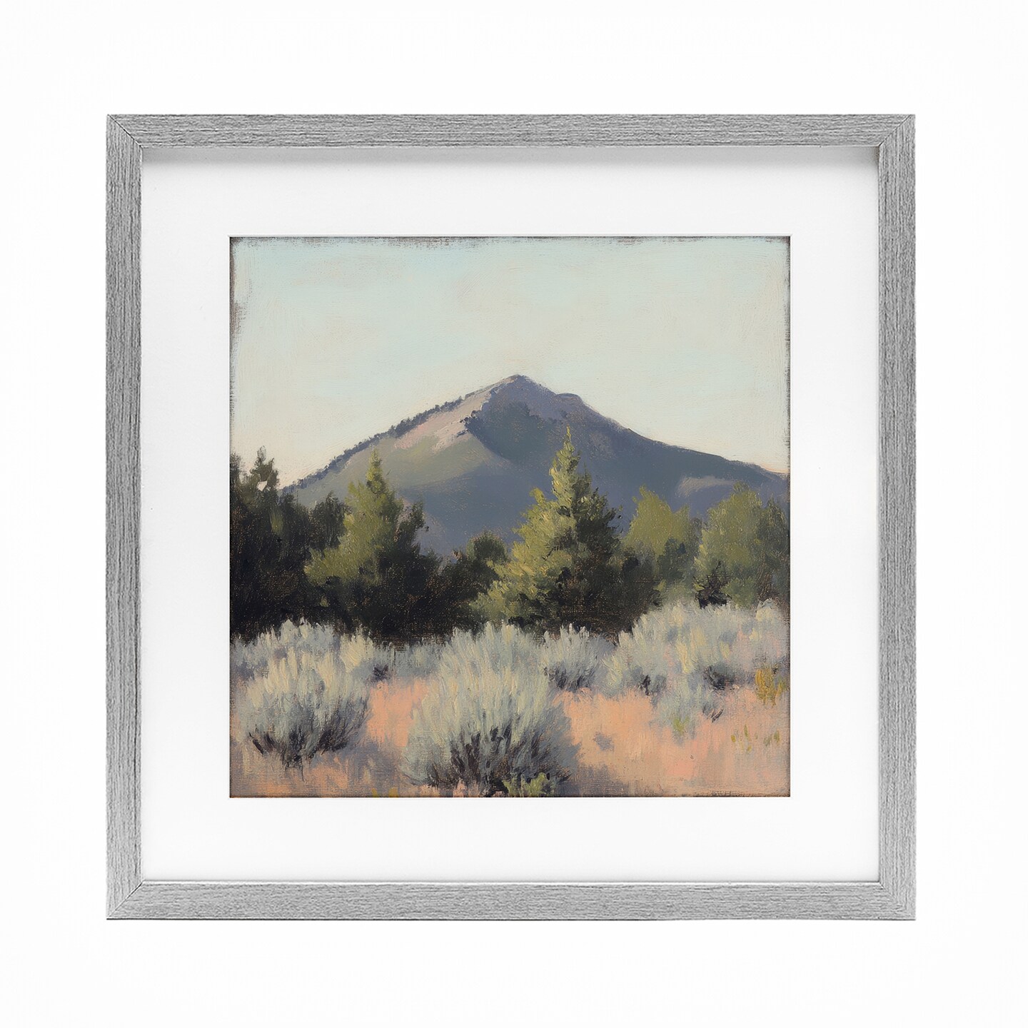 Stupell Industries Tucson Mountain Landscape Framed Print Under Glass, design by Petal Prints Design