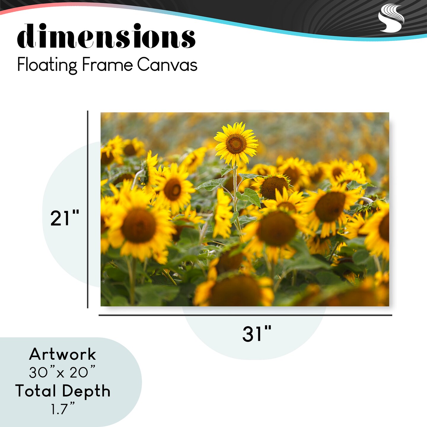 Stupell Industries Central Sunflower in Meadow Floating Frame, design by Andy Crawford