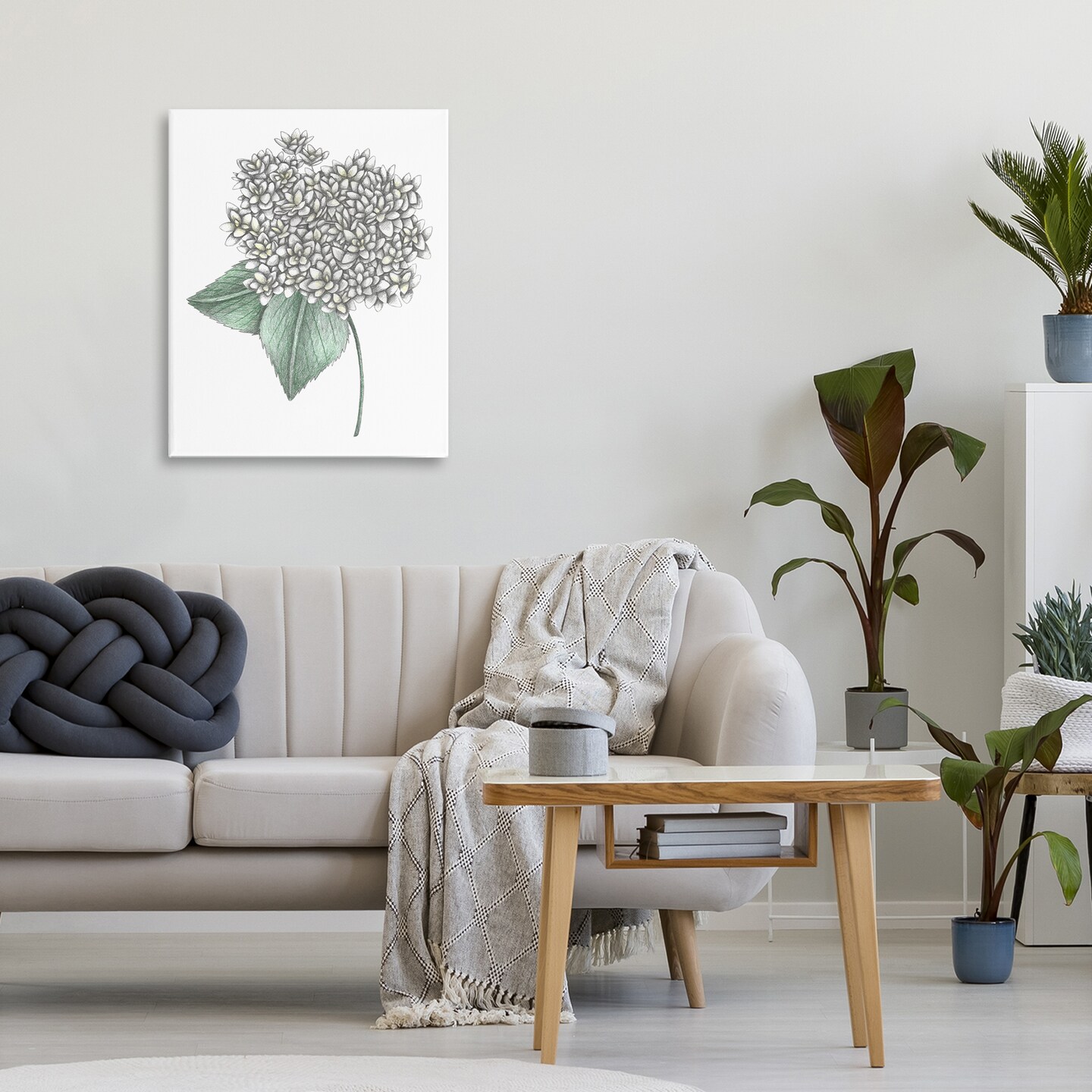 Stupell Industries White Hydrangea Sketch Blossom Canvas, design by Cecilia Battaini