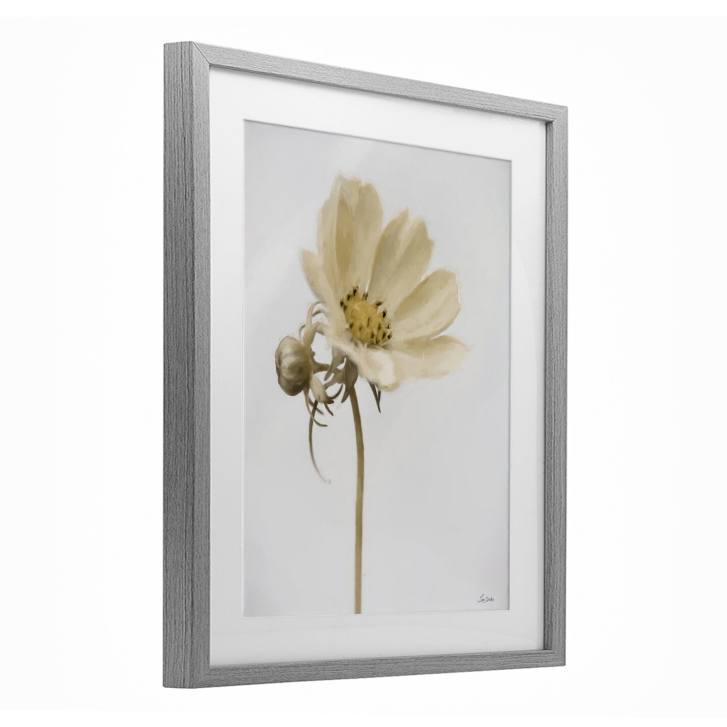 Stupell Industries Simple Beauty Soft Flower Framed Print Under Glass, design by Lori Deiter