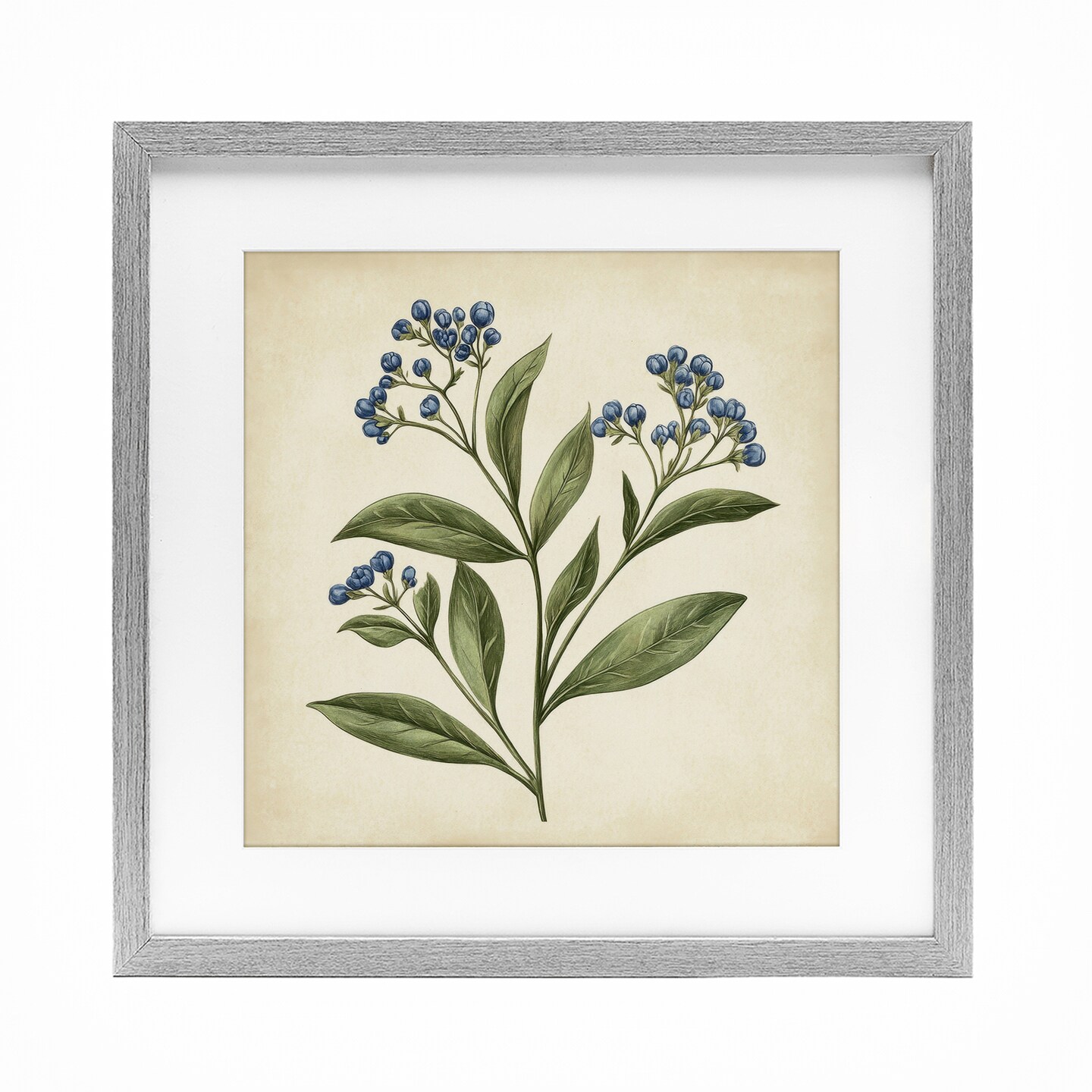 Stupell Industries Blue Buds Botanical Illustration Framed Print Under Glass, design by Petal Prints Design