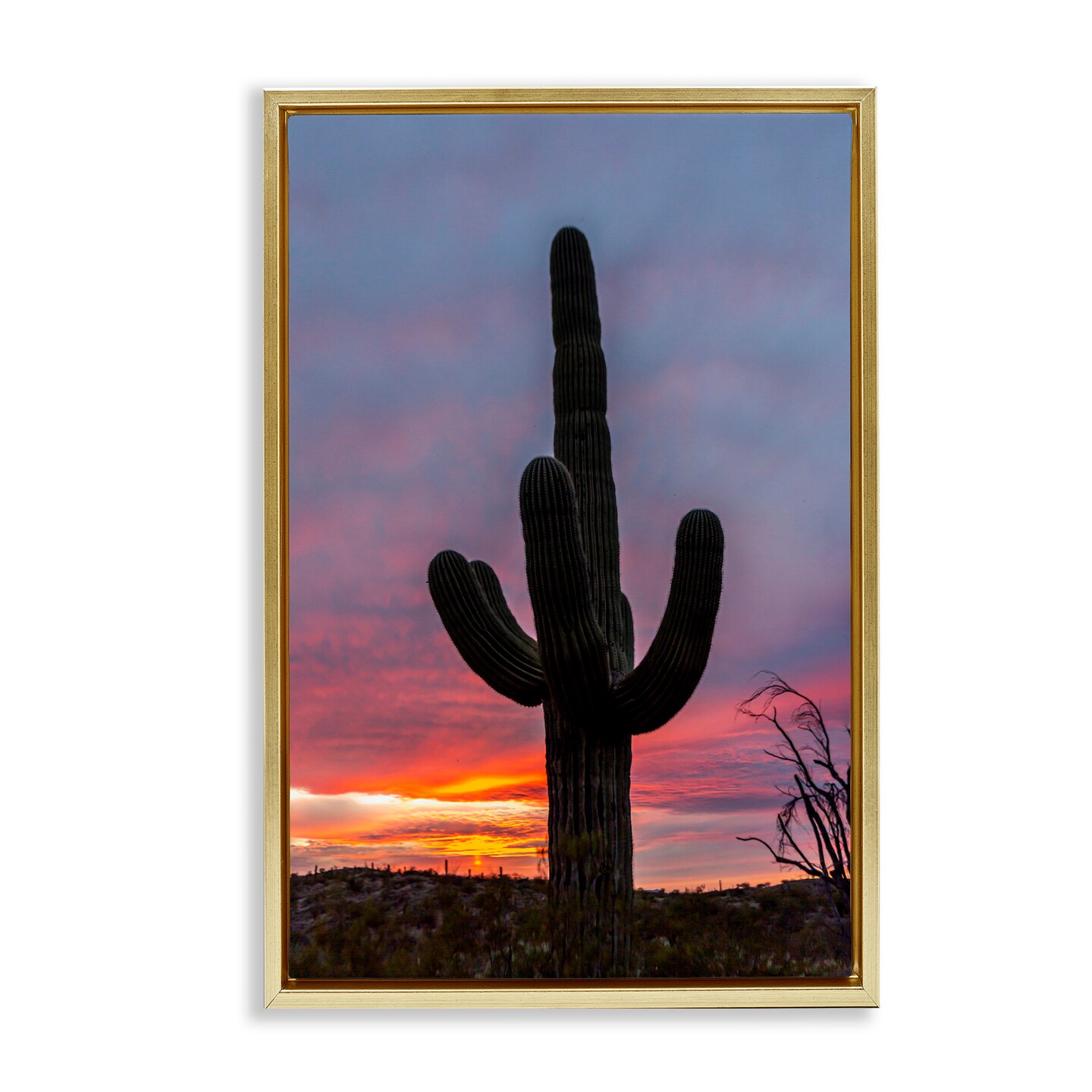 Stupell Industries Arizona Cactus at Sunset Floating Frame, design by Jeff Poe Photography