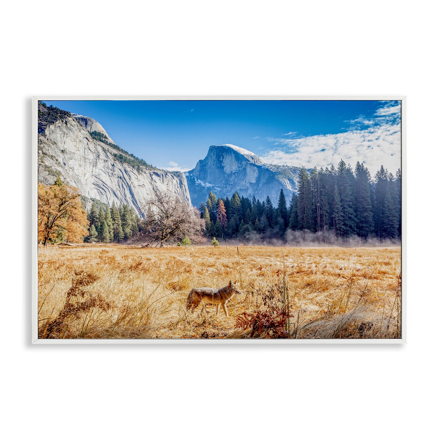 Stupell Industries Coyote in Mountain Prairie Framed Giclee, design by Jeff Poe Photography