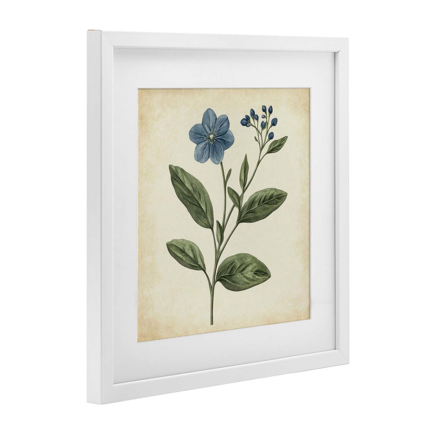 Stupell Industries Vintage Blue Blossoms Wildflower Framed Print Under Glass, design by Petal Prints Design