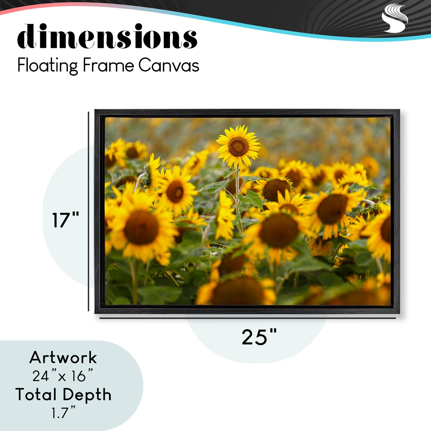Stupell Industries Central Sunflower in Meadow Floating Frame, design by Andy Crawford