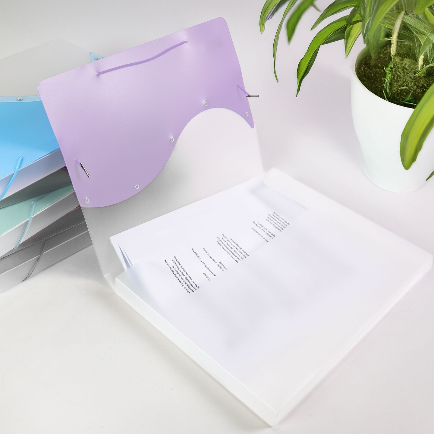 BAZIC Document Case Letter Size Two Tone