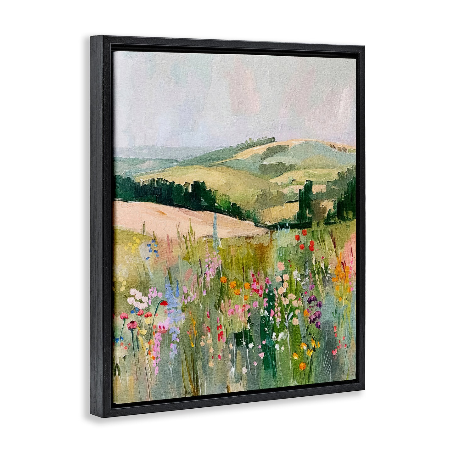 Stupell Industries Pastel Countryside Meadows Floater Framed Canvas Wall Art Design by RileyB