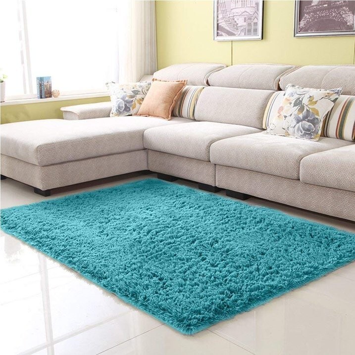 Soft Fluffy Thick Indoor Rug for Home Decor Living Room Bedroom
