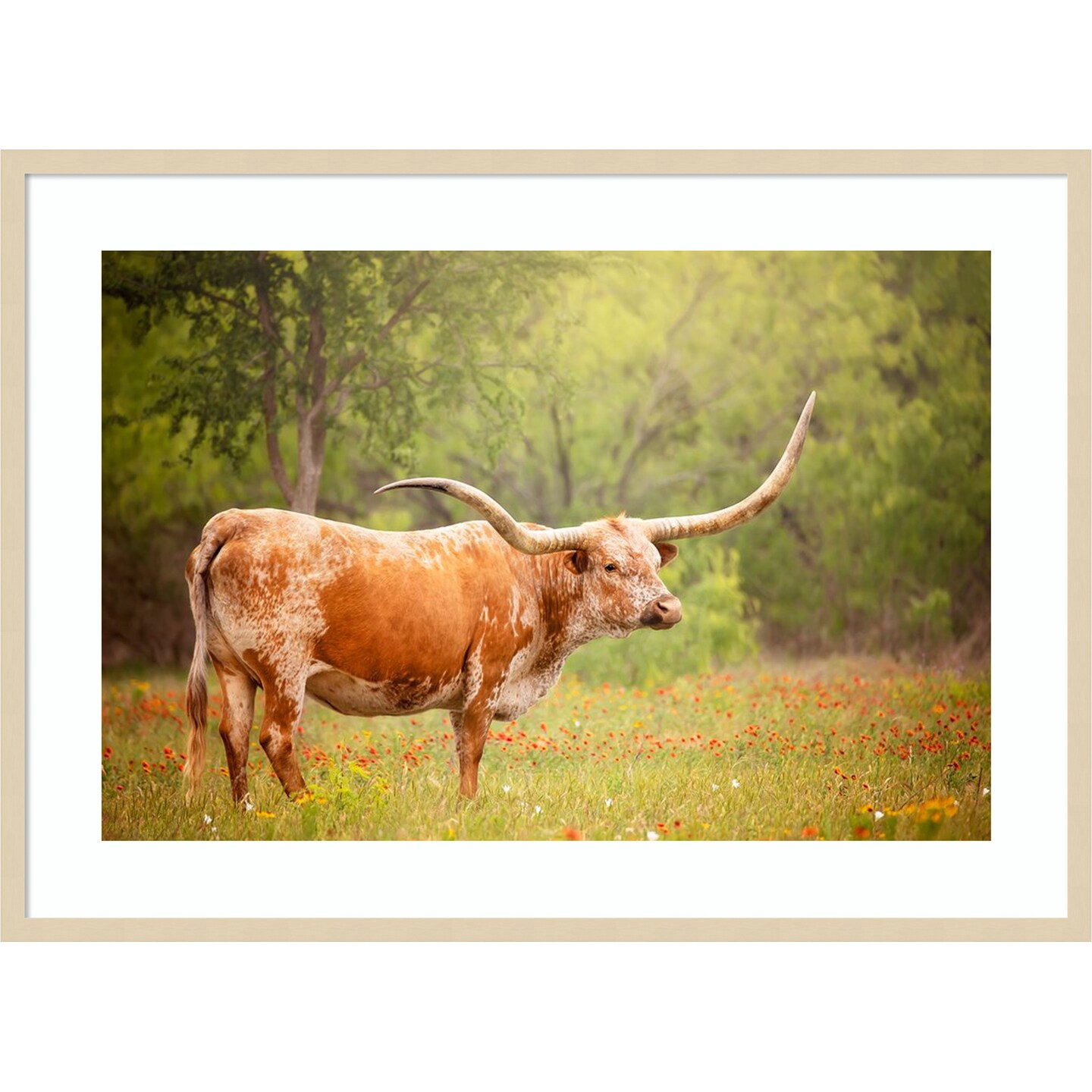 Sunlit Midwest I by PHBurchett Wood Framed Wall Art Print