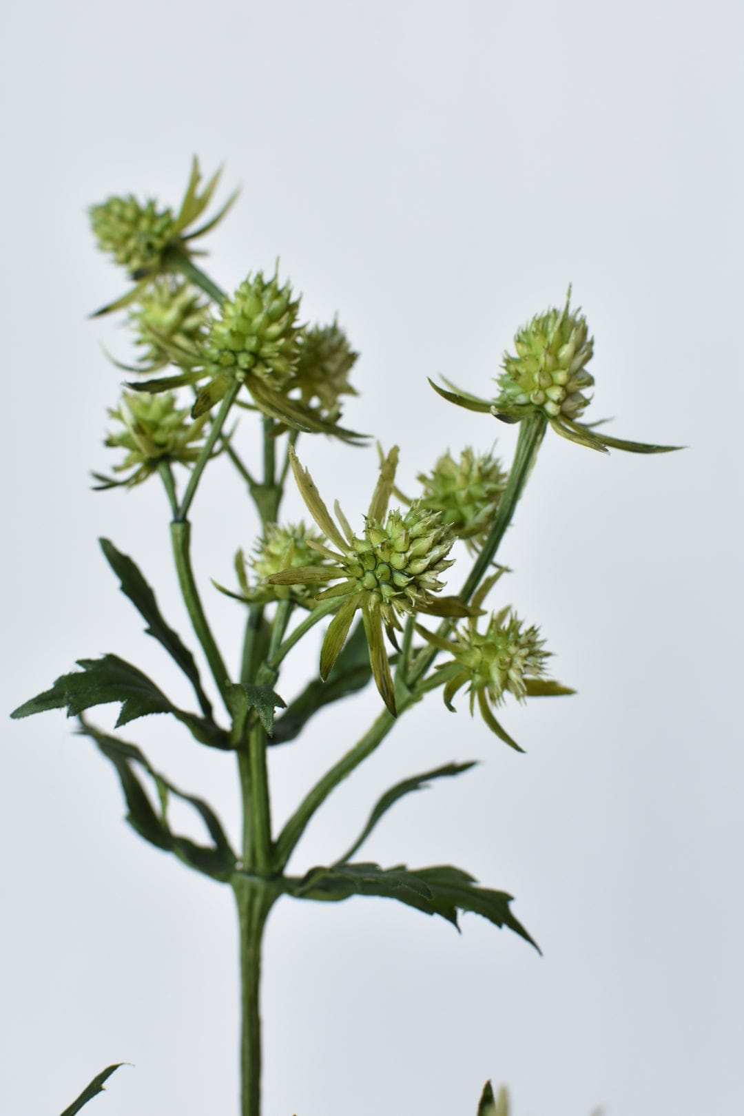 25&#x22; Faux Thistle Stem - Green