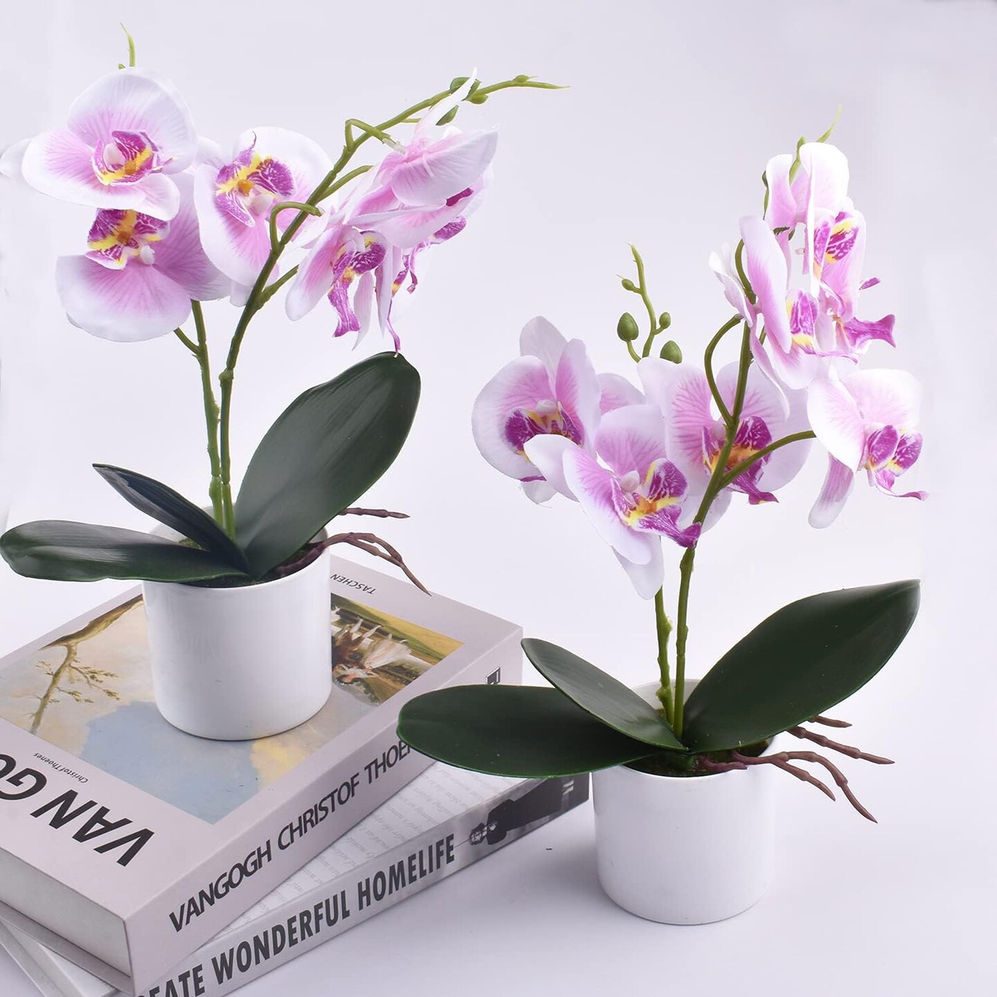 2pcs Artificial Potted Orchids – Lifelike Faux Flowers for Home, Office & Event Décor