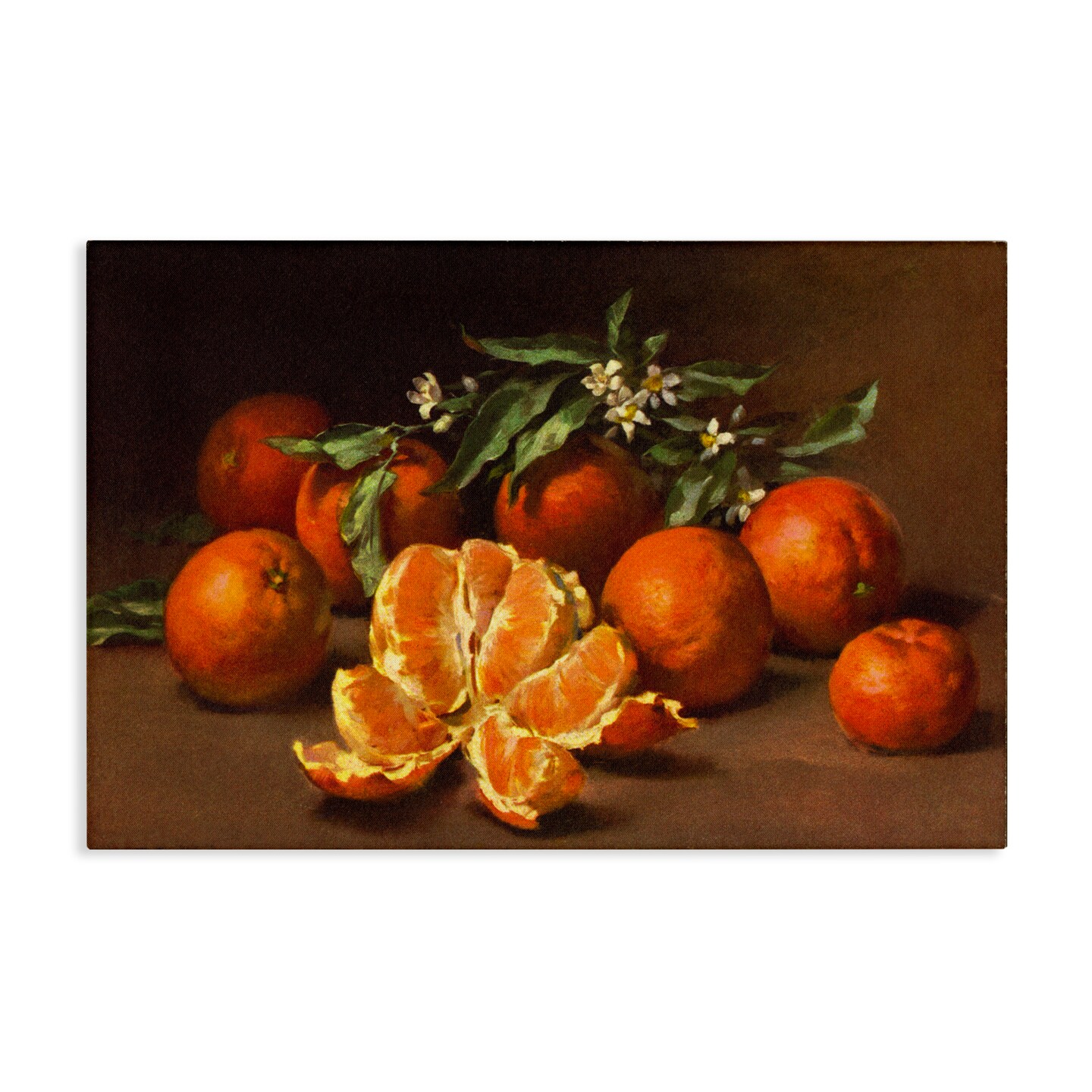 Stupell Industries Peeled Oranges Still Life Canvas Wall Art Design by Tina Higgins Designs, Inc.
