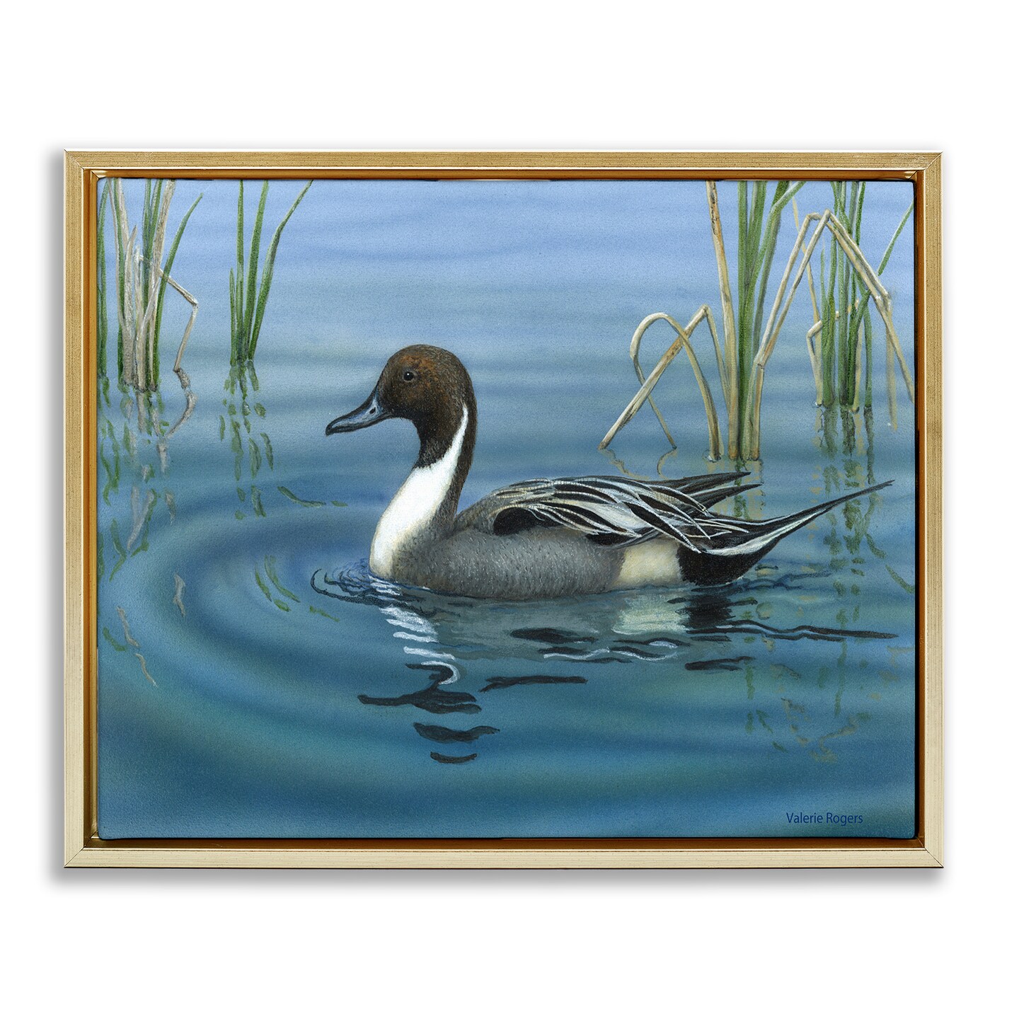 Stupell Industries Pintail Loon in Pond Floater Framed Canvas Wall Art Design by Valerie Rogers