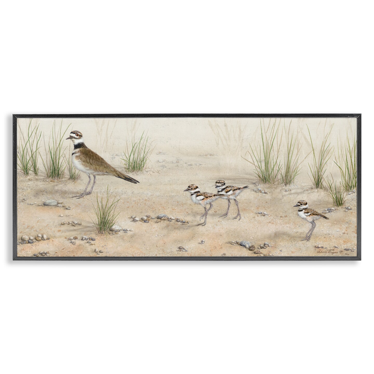 Stupell Industries Kildeer Birds Stepping Framed Giclee Wall Art Design by Valerie Rogers