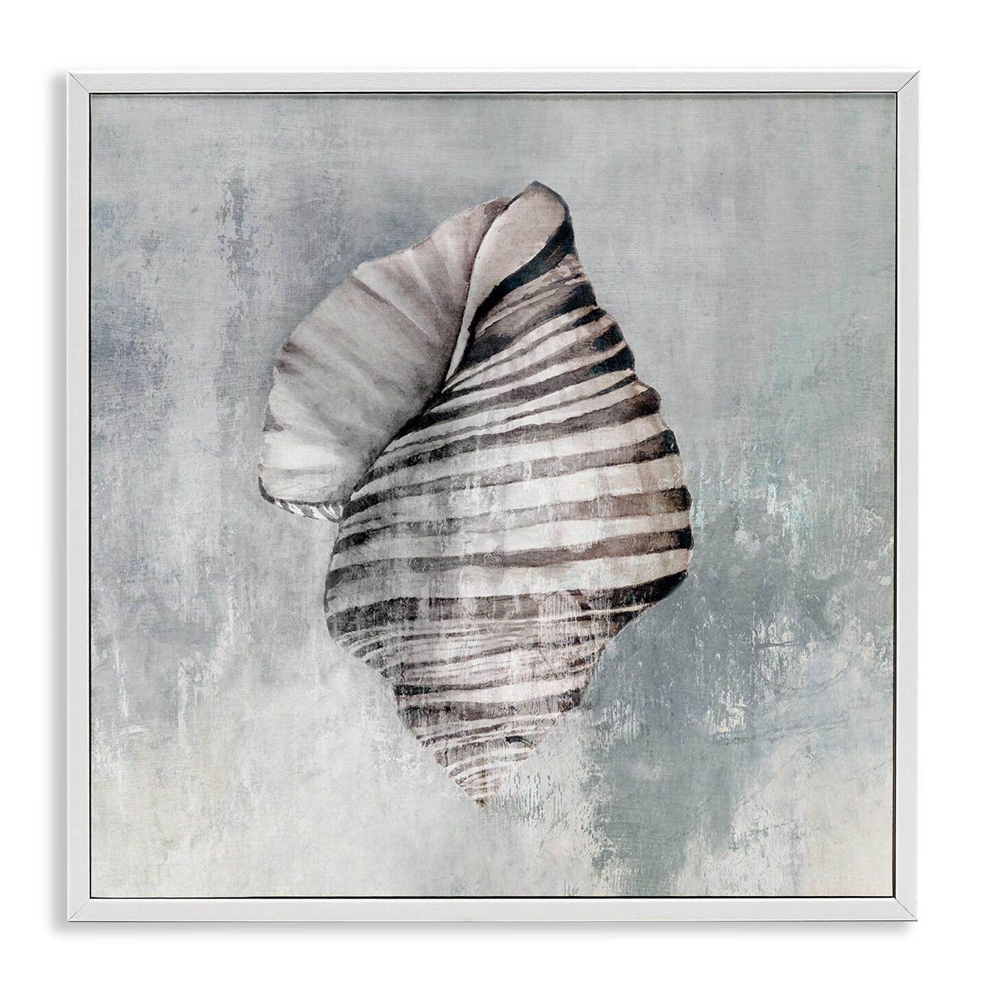 Stupell Industries Organic Twisted Seashell Framed Giclee Wall Art Design by Eli Jones