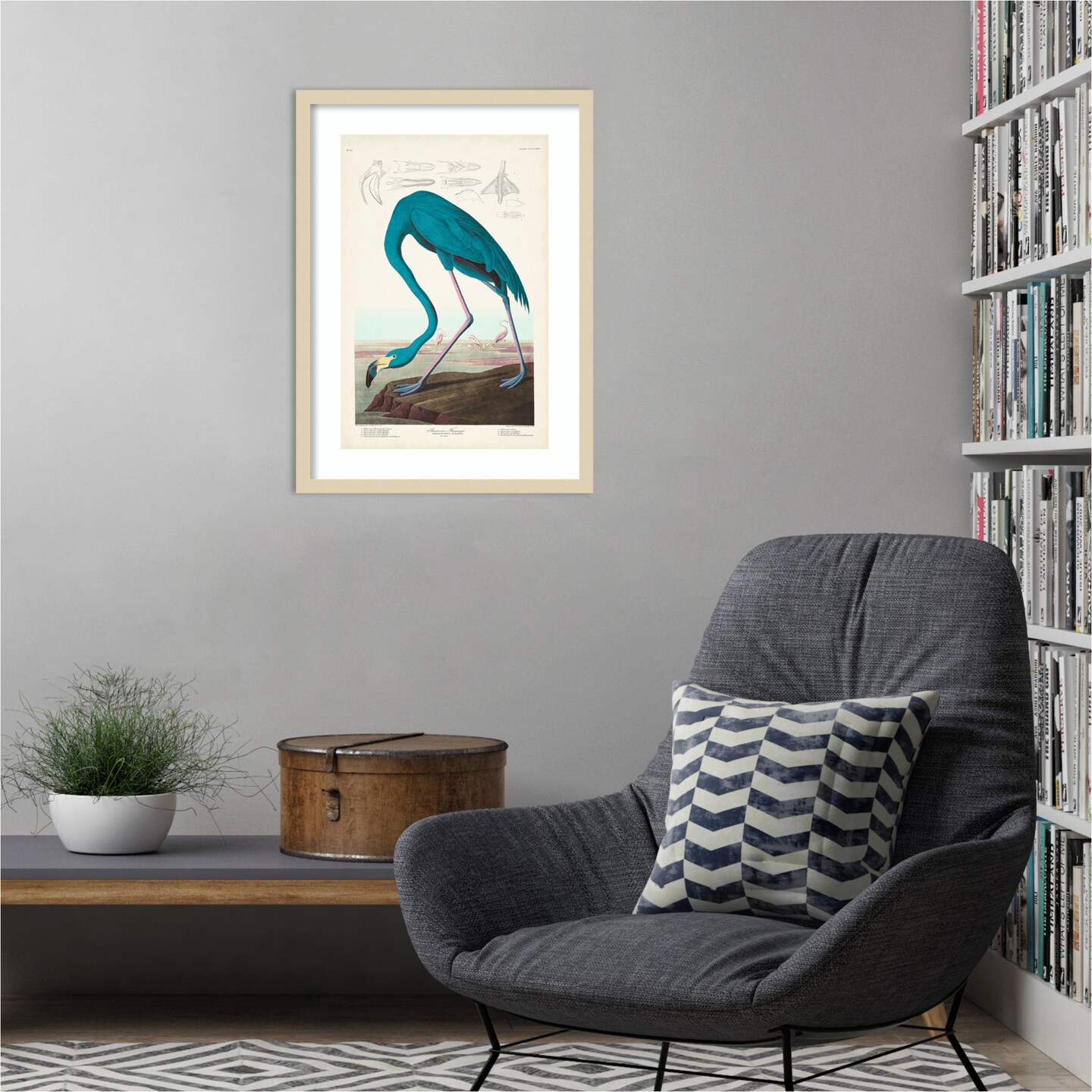 Custom Pl 431 American Flamingo I by John James Audubon Wood Framed Wall Art Print