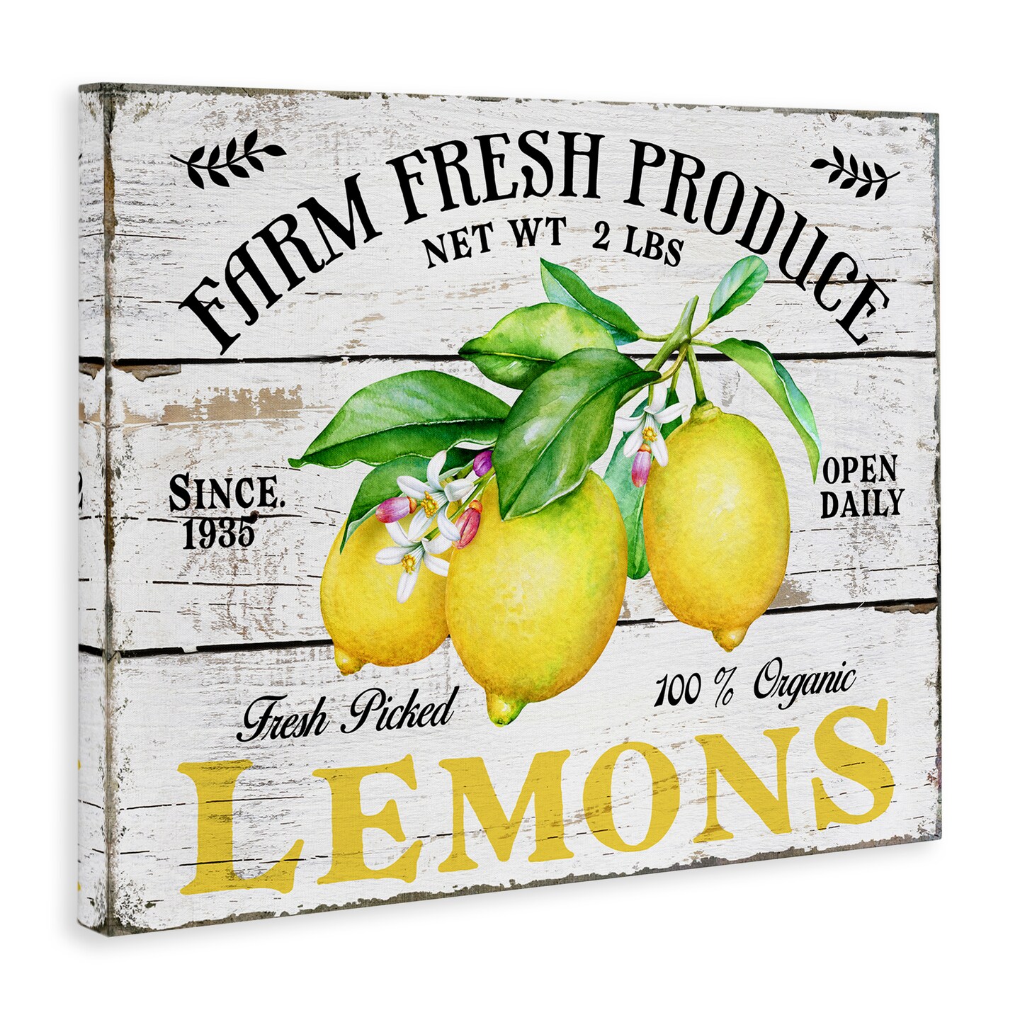 Stupell Industries Farm Fresh Produce Lemons Canvas Wall Art Design by Creatif Belle