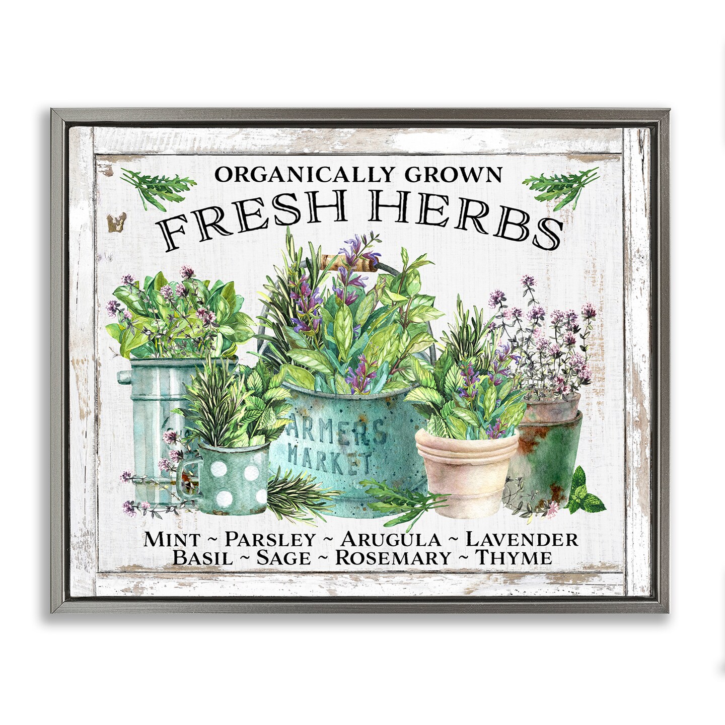 Stupell Industries Organic Fresh Herbs Floater Framed Canvas Wall Art Design by Creatif Belle