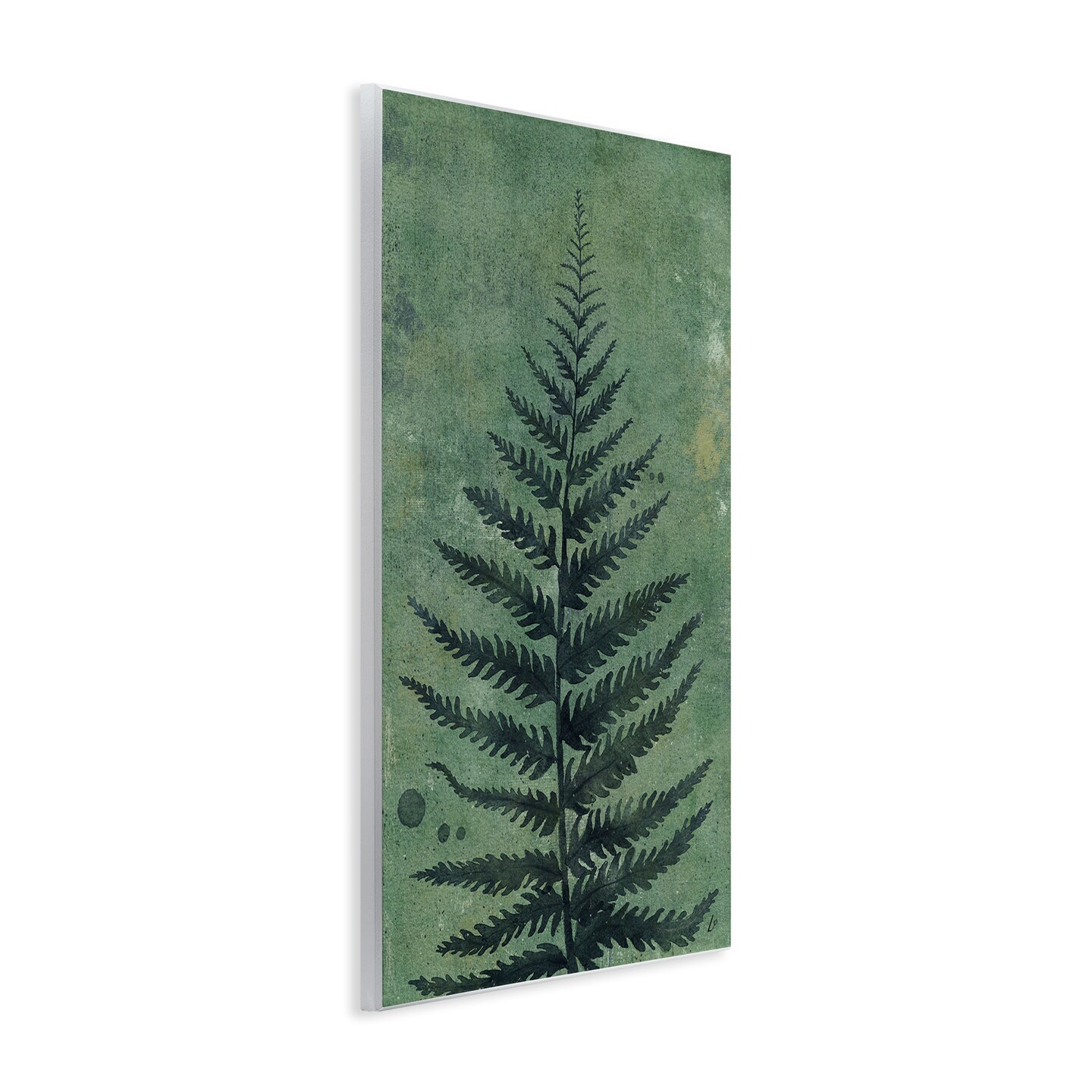 Stupell Industries Rustic Fern Impression Wall Plaque Art Design by Lydia Orange