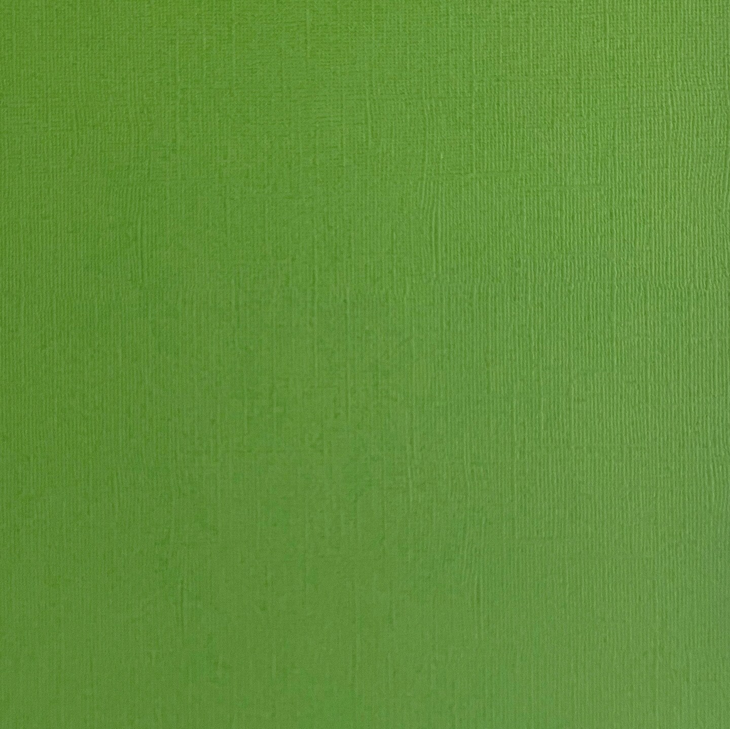 PARSLEY - Textured 12x12 Cardstock - Encore Paper