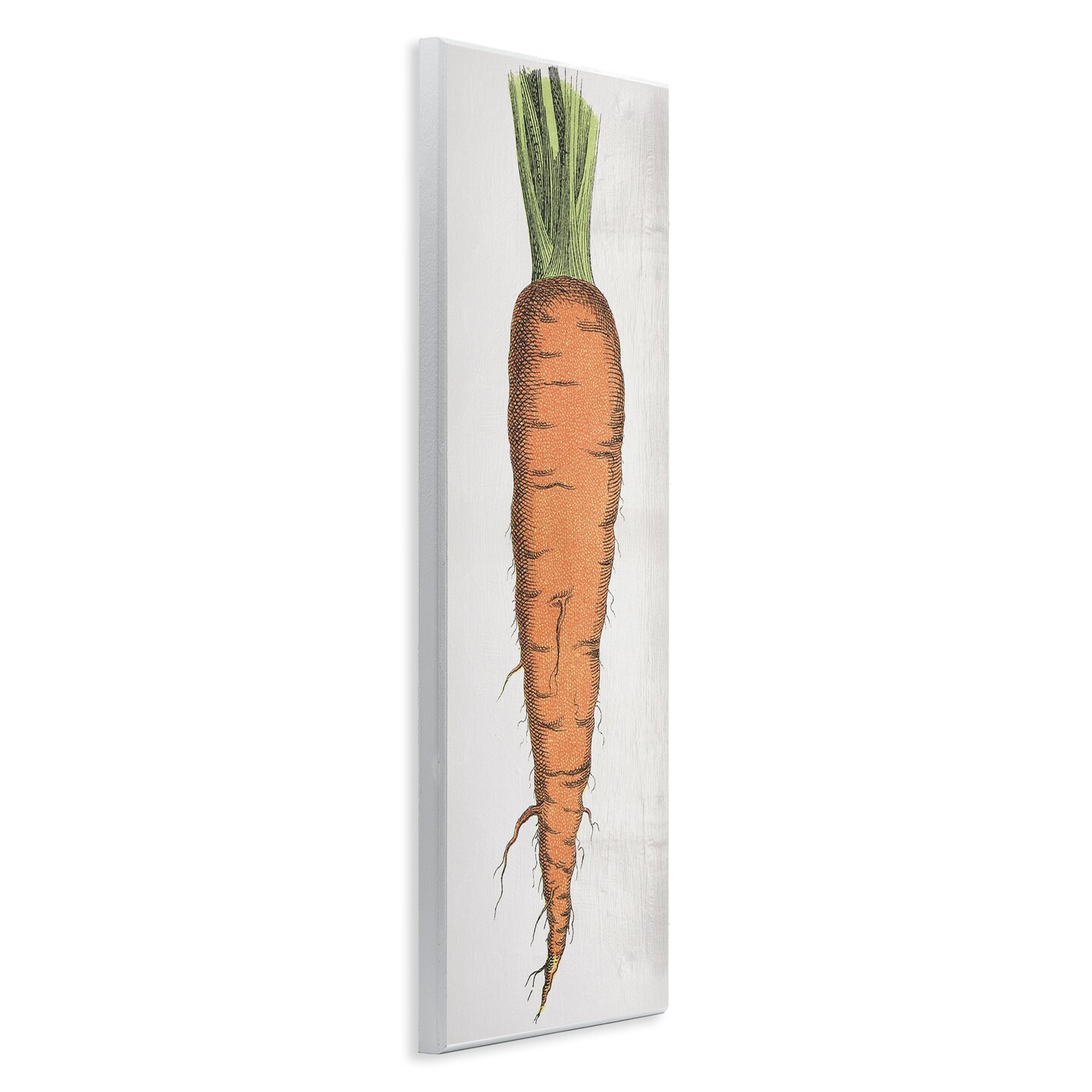 Stupell Industries Detailed Carrot Study Wall Plaque Art Design by Daphne Polselli