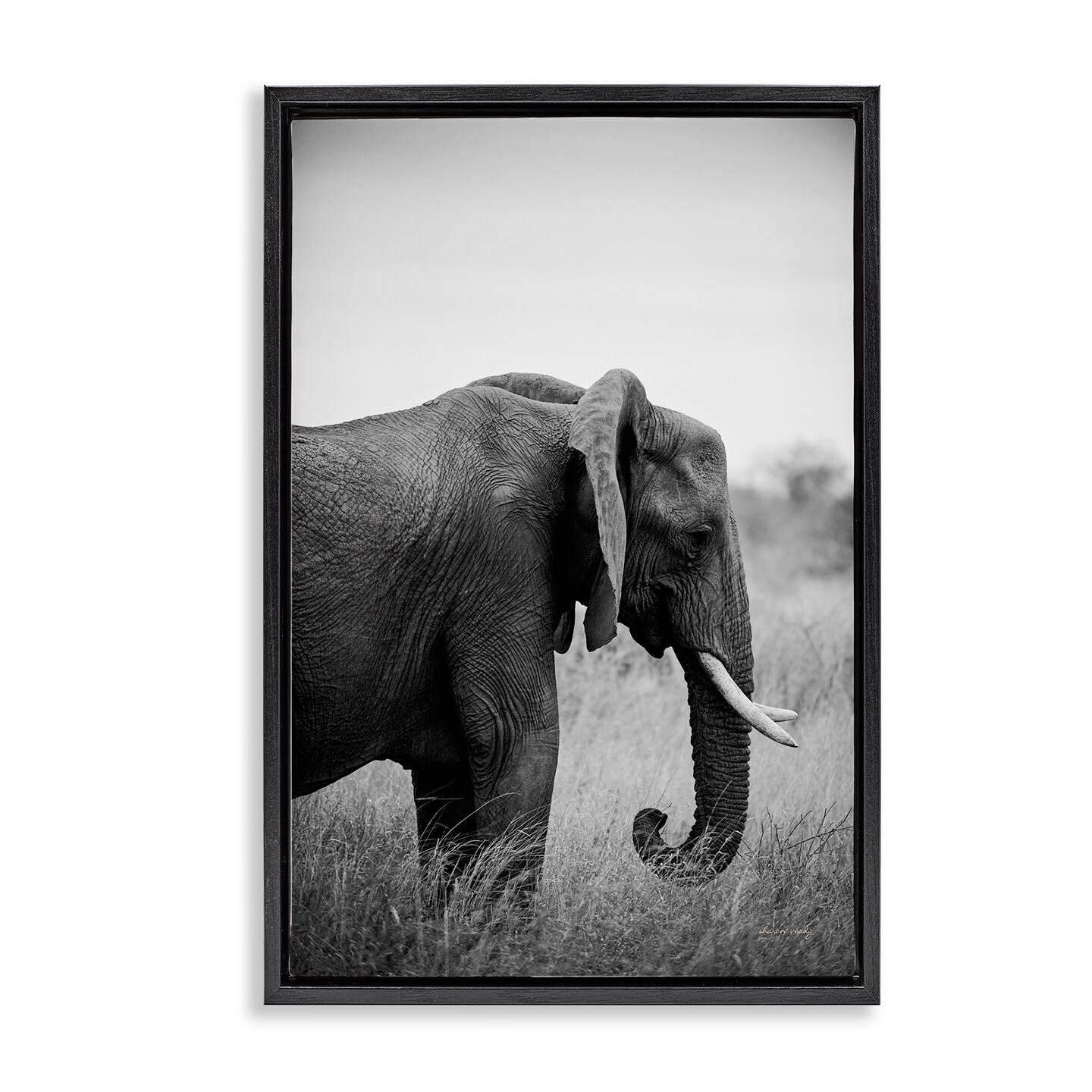 Stupell Industries Side Profile Elephant Floater Framed Canvas Wall Art Design by Sharon Vardy