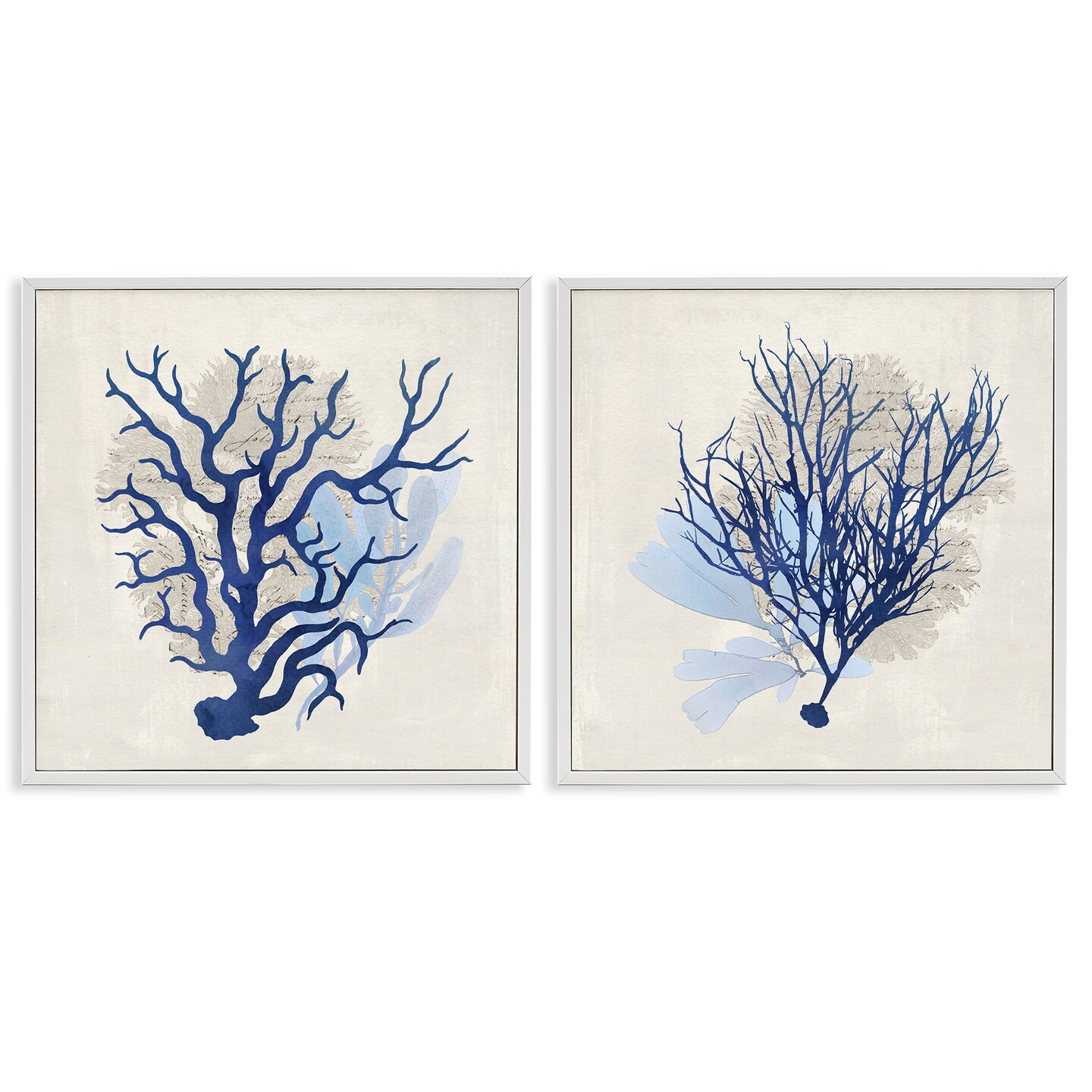 Stupell Industries Blue Coral Branches 2pc Framed Giclee Wall Art Set Design by Susan Arnot