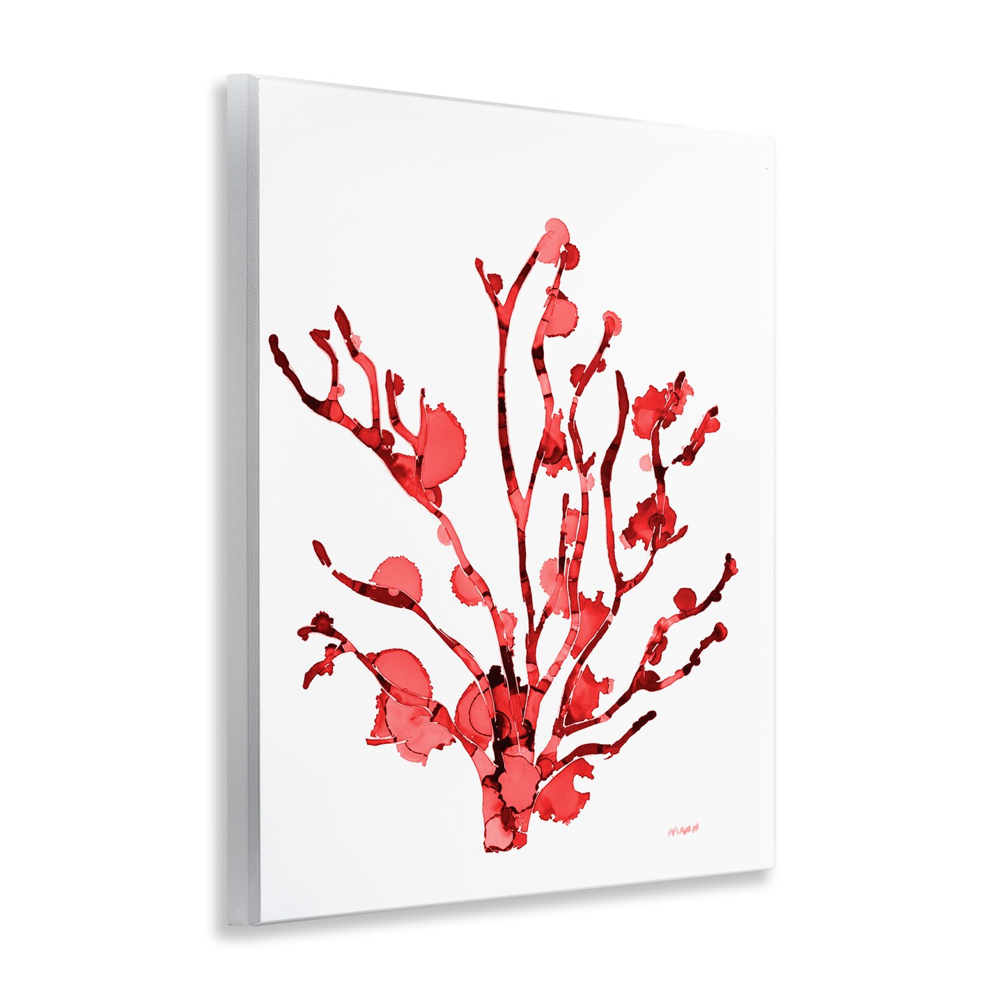 Stupell Industries Coral With Splashes Wall Plaque Art Design by Patti Mann