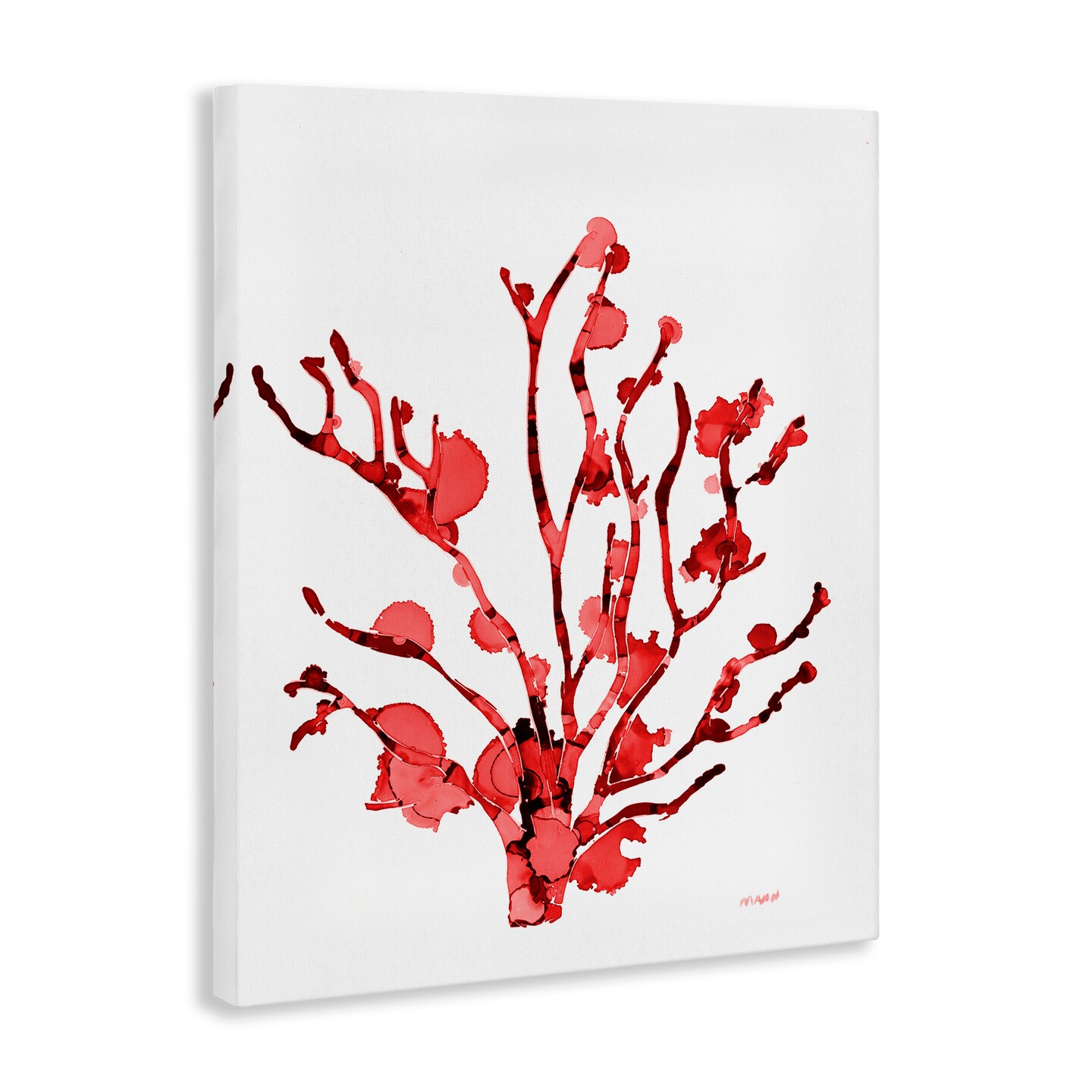 Stupell Industries Coral With Splashes Canvas Wall Art Design by Patti Mann