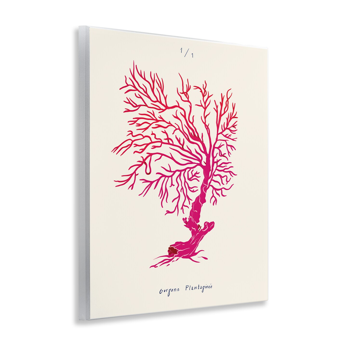 Stupell Industries Sea Fauna Coral Wall Plaque Art Design by Marina Astudillo