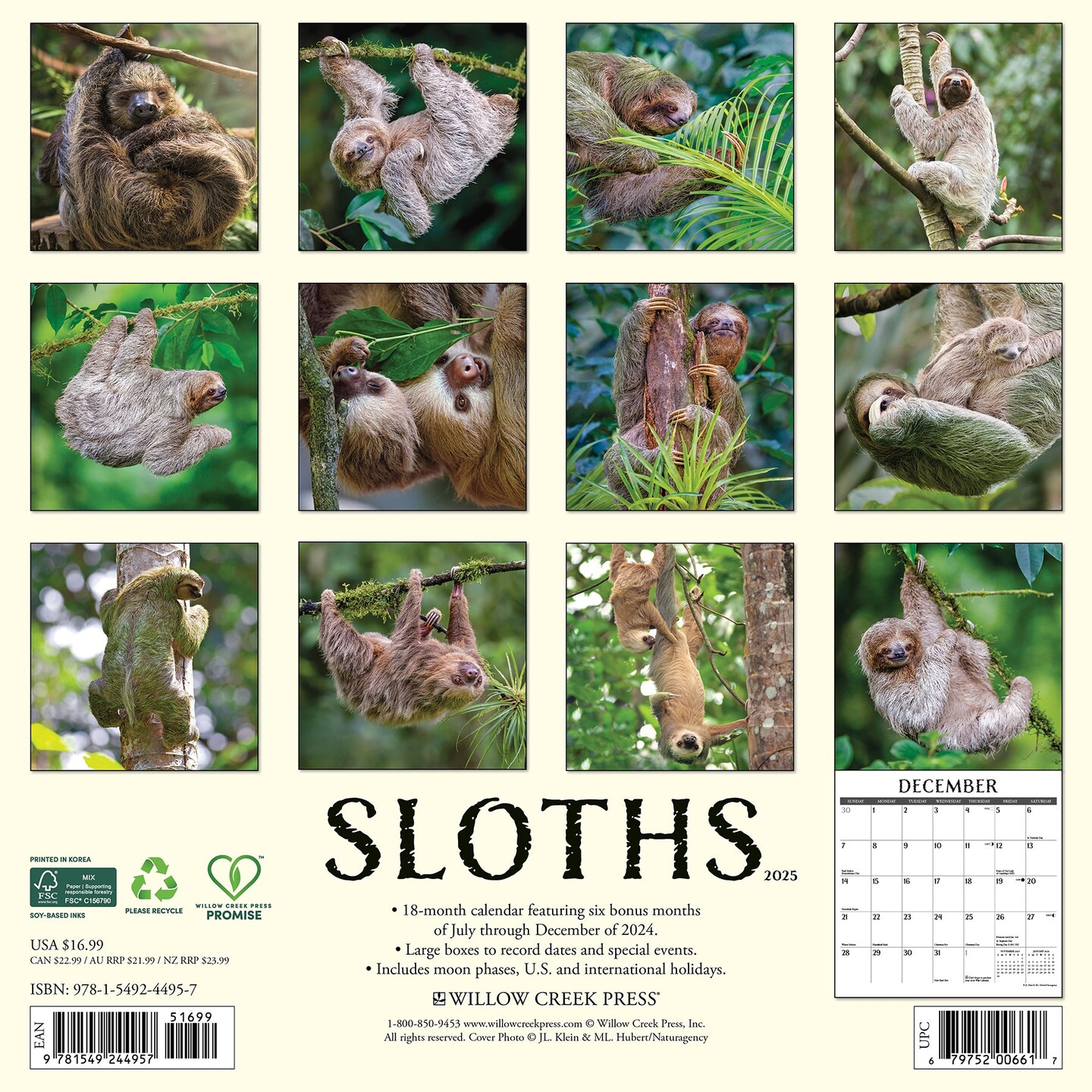 Sloths 2025 Wall Calendar
