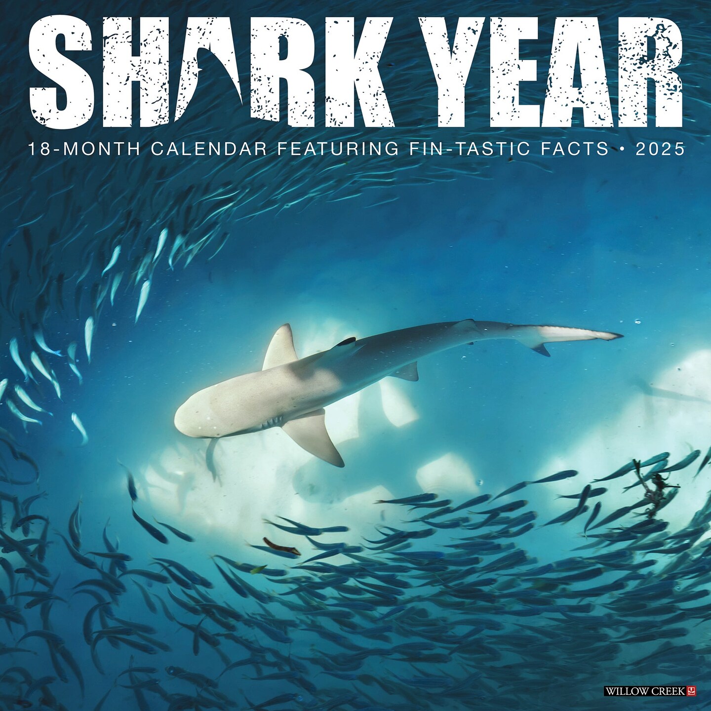 Shark Year 2025 Wall Calendar