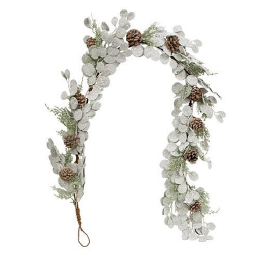 Silver deals Dollar Shine Garland