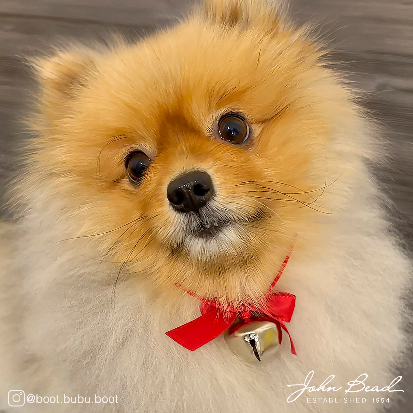 John Bead Gold Christmas Jingle Bells