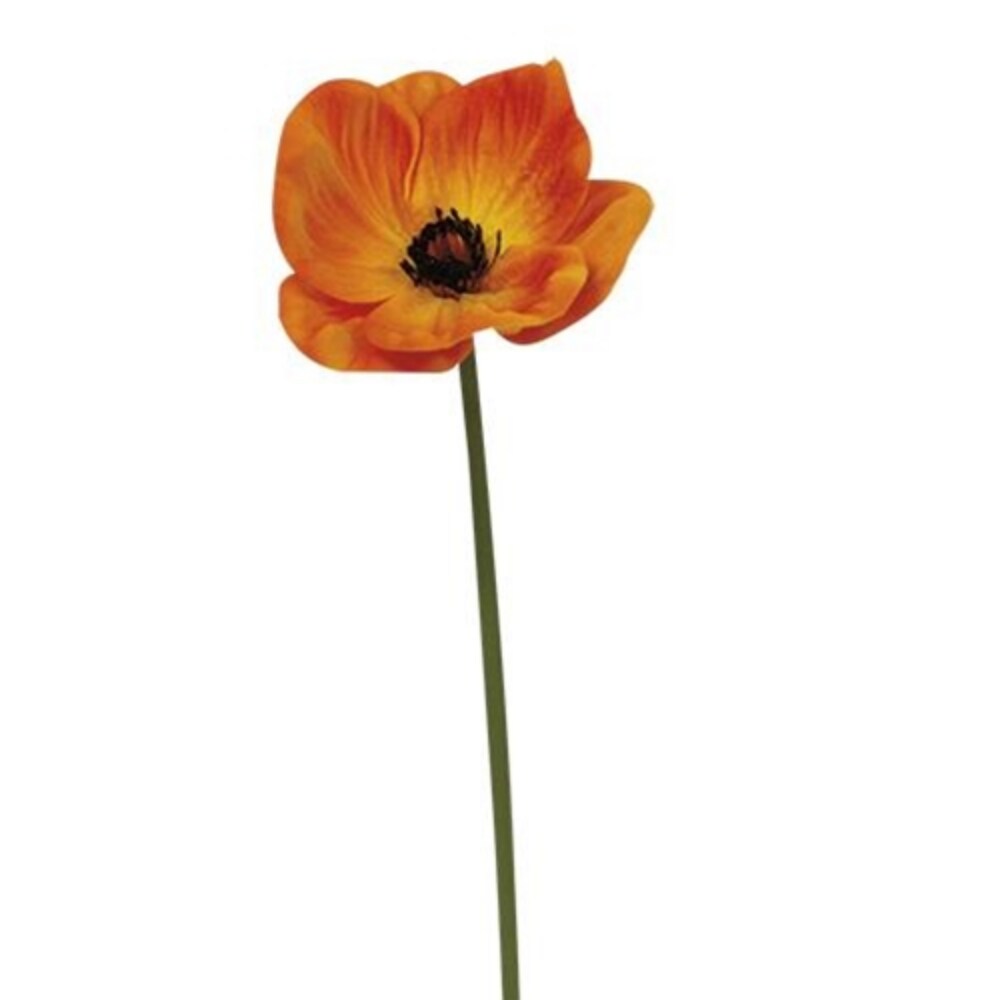 Foamy Poppy Stem 11&#x22;