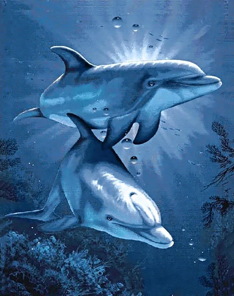 Dolphins&#x27; Dating WD222 14.9 x 18.9 inches Wizardi Diamond Painting Kit