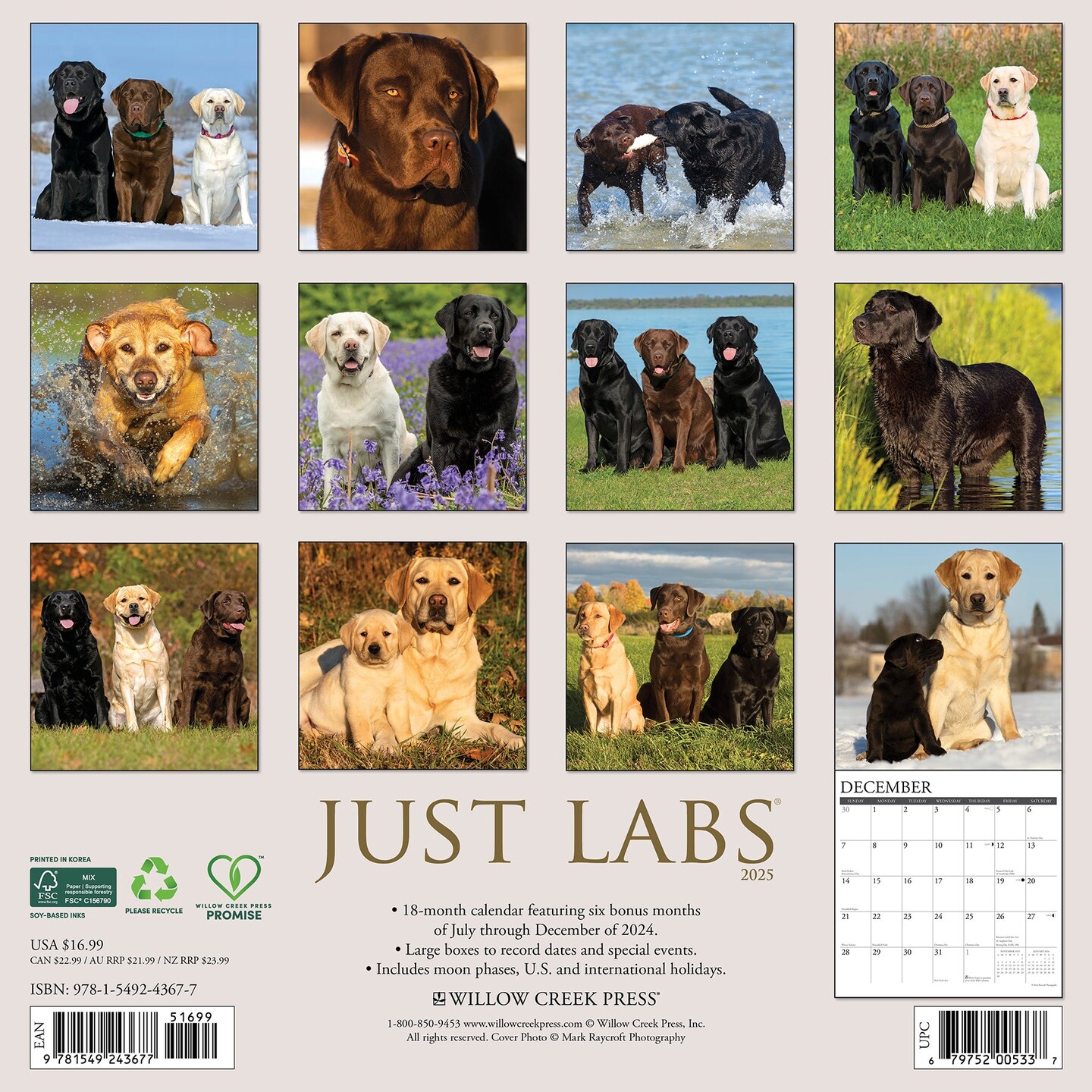 Labs 2025 Wall Calendar