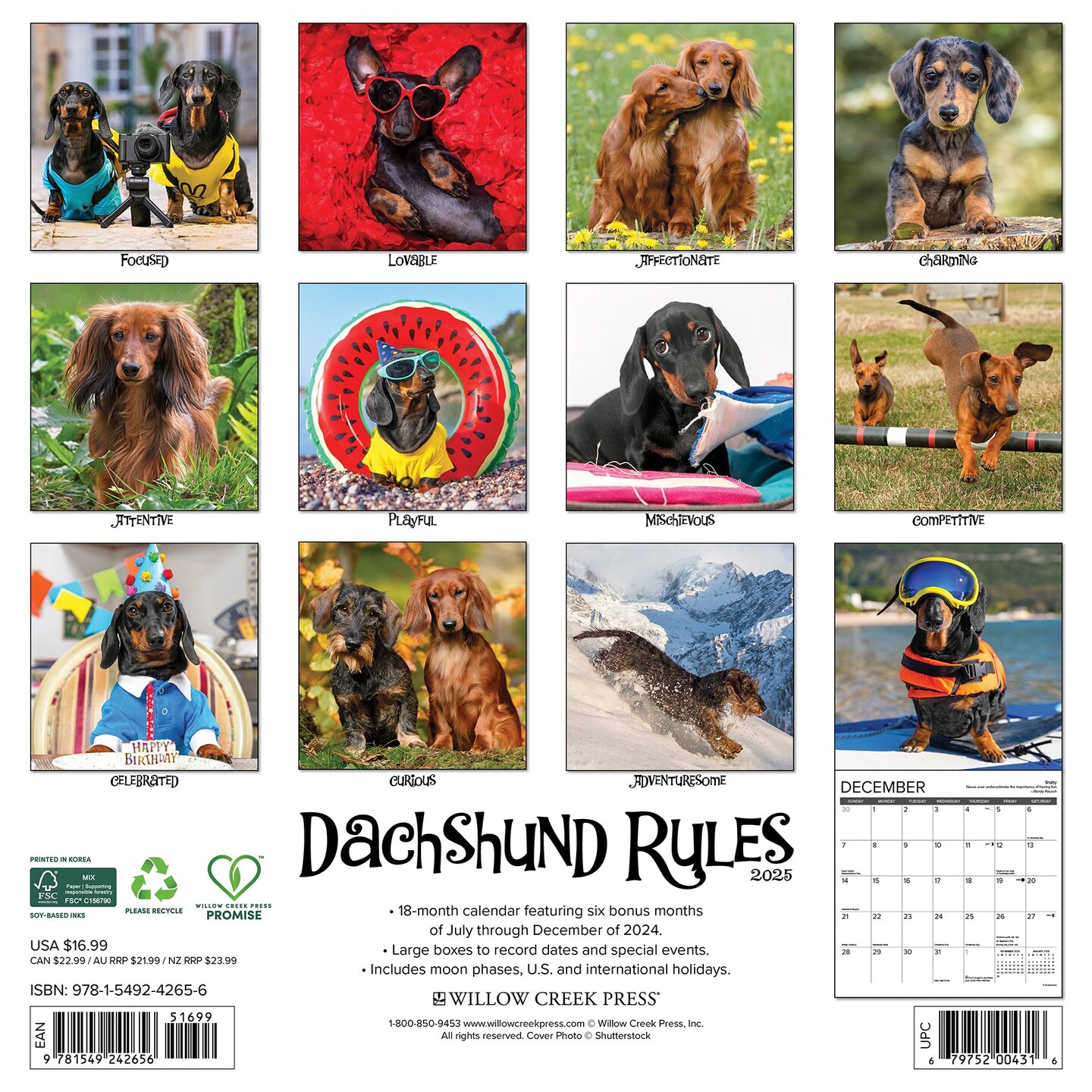 Dachshund Rules 2025 Wall Calendar