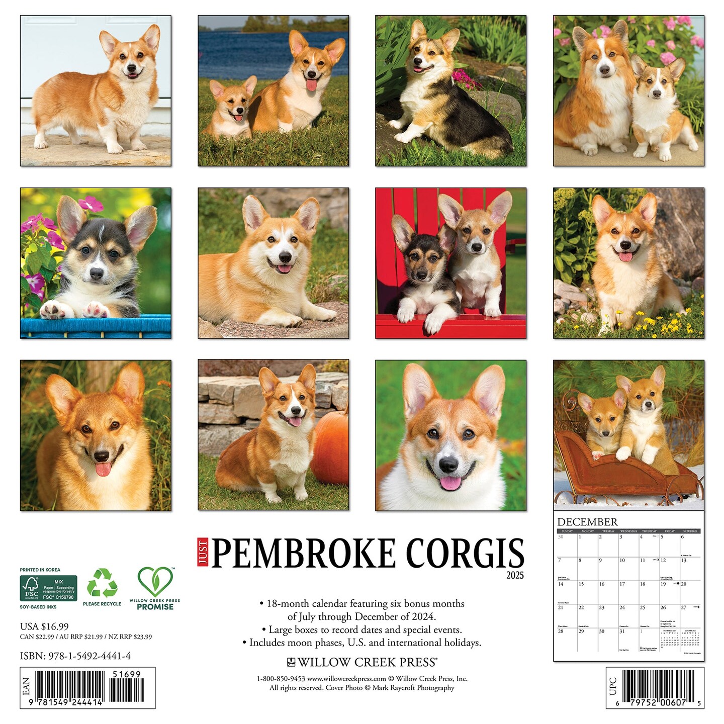 Pembroke Corgis 2025 Wall Calendar