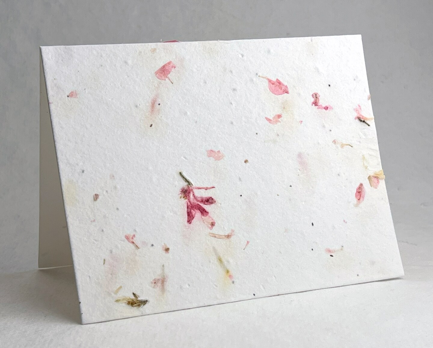 Wildflower Seed Paper A2 Folding Card - Cotton Paper Embedded with Petals Seeds - 4.25" x 5.5" - Set of 8 - With Envelopes and Guides - image18