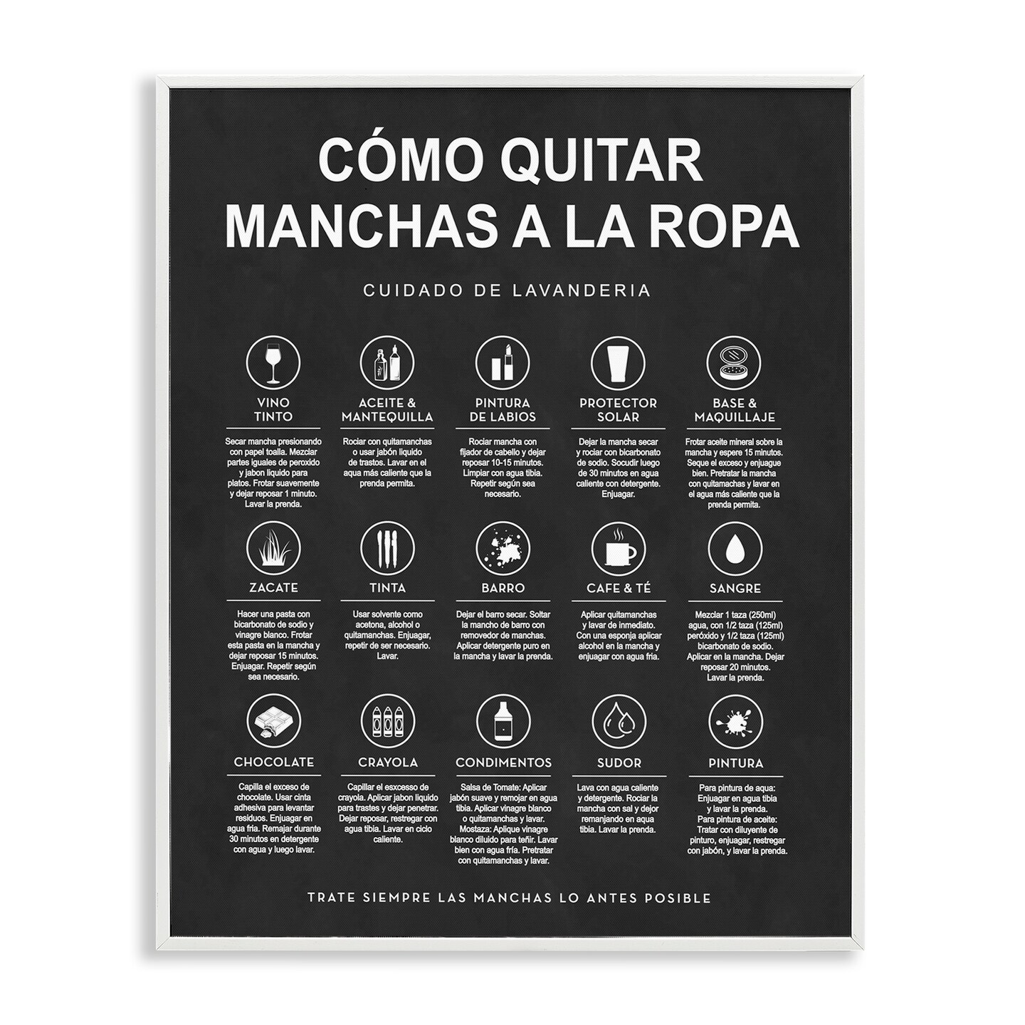Stupell Industries Guía de Limpieza de Manchas, Negro Framed Giclee Art