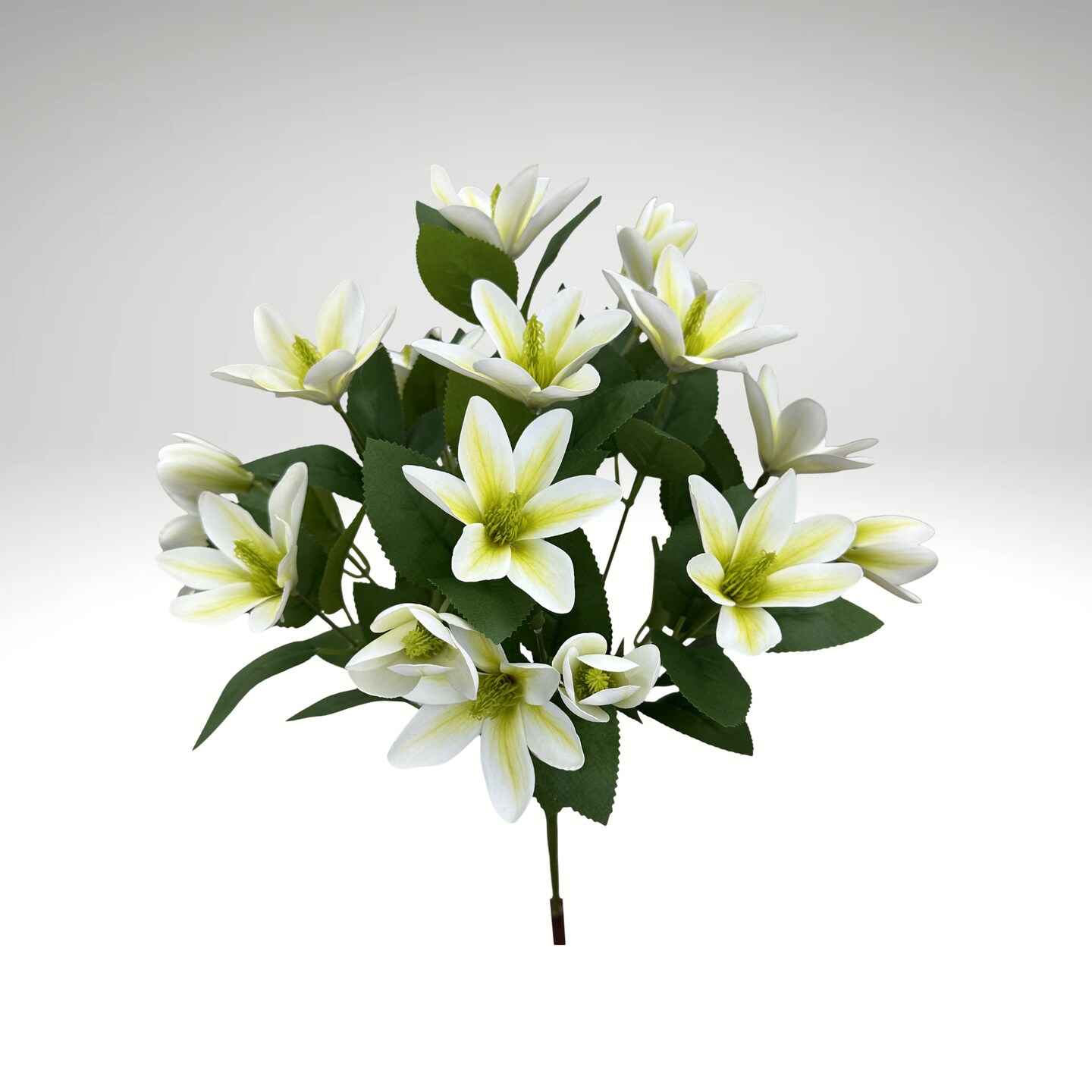 20" Japanese Magnolia Bush x7 | Pink Magnolia Floral Bush-64010CM