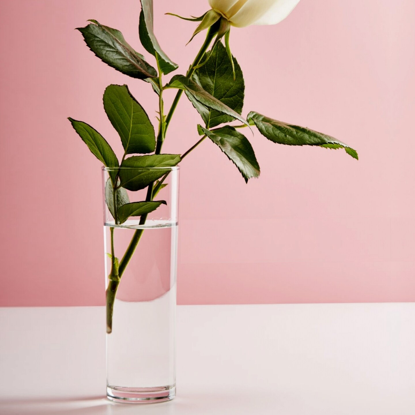 Cylindrical Transparent Glass Vase Perfect for Flowers and Decorative Fillers