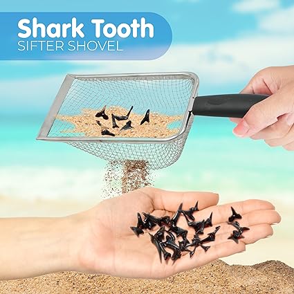 4E's Novelty 2 Set Shark Tooth Sifter – Packable Beach Toy Set