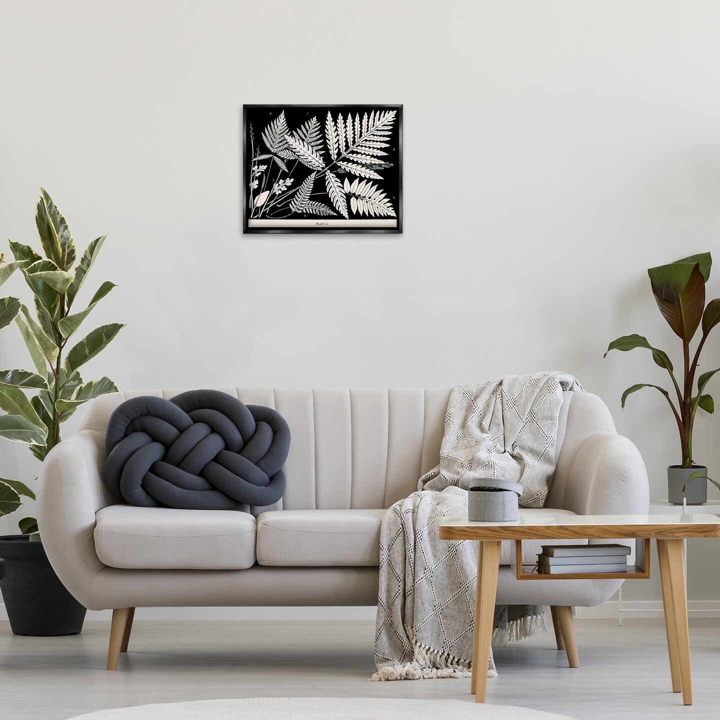Stupell Industries Overlapping Ferns on Black Floating Frame Design by Phillipa Katz