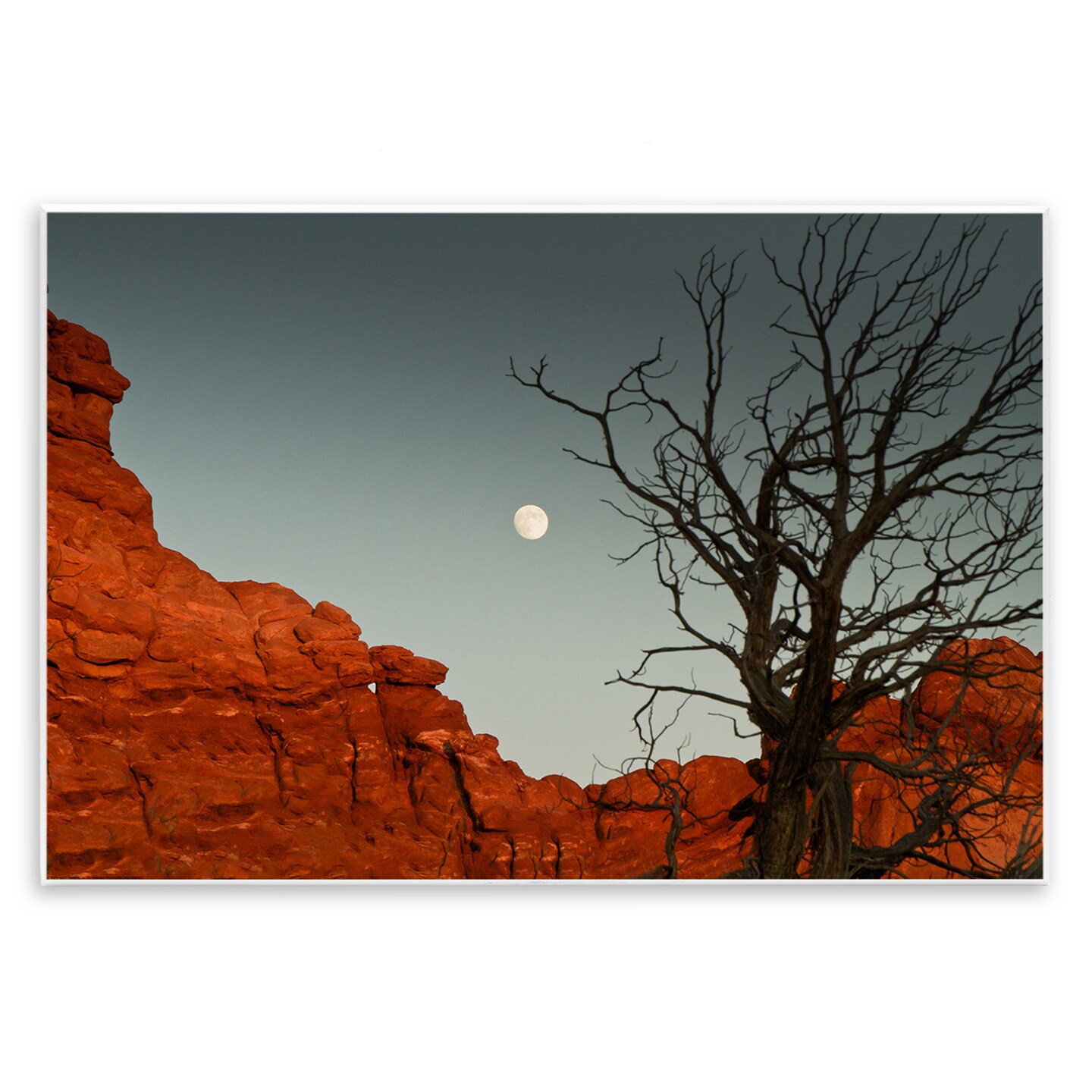 Stupell Industries Full Moon Canyon Photography Wall Plaque By Jadei Graphics