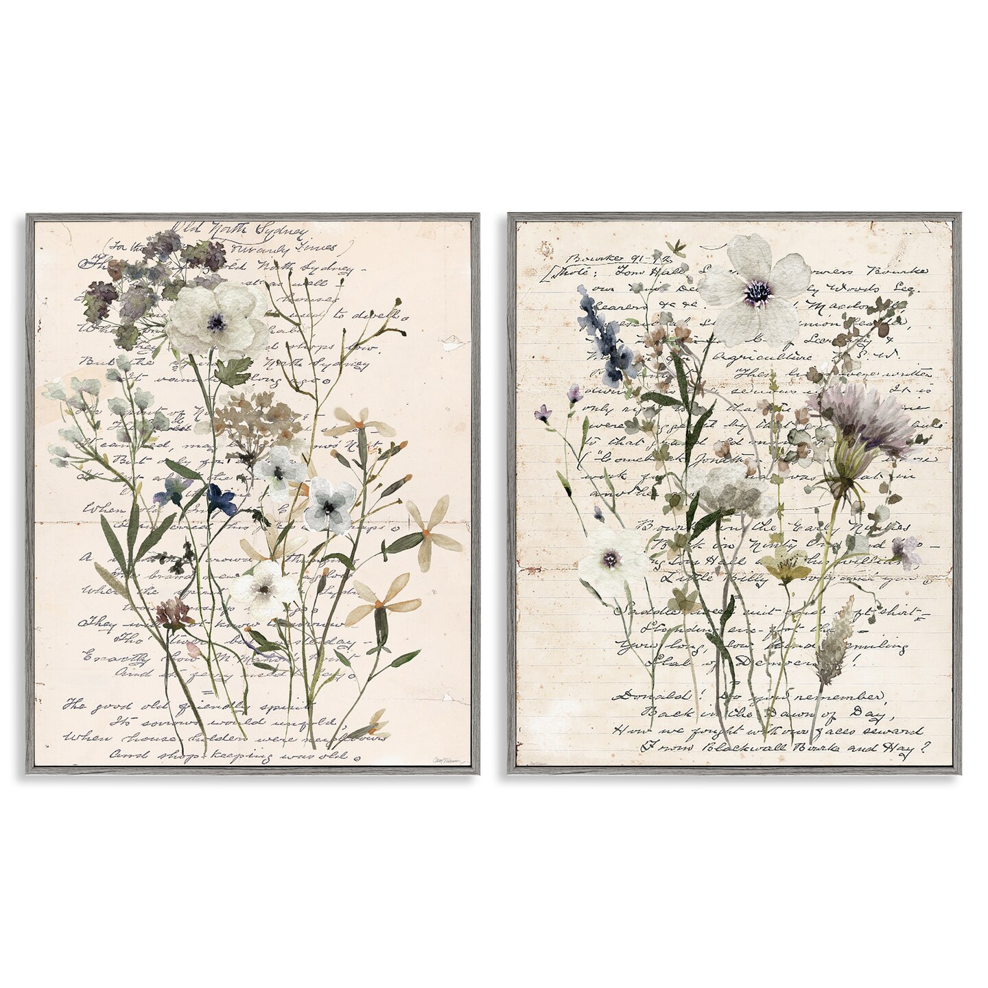 Stupell Industries Vintage Letters with Botanicals 2pc Framed Giclee Wall Art Set Design by Carol Robinson