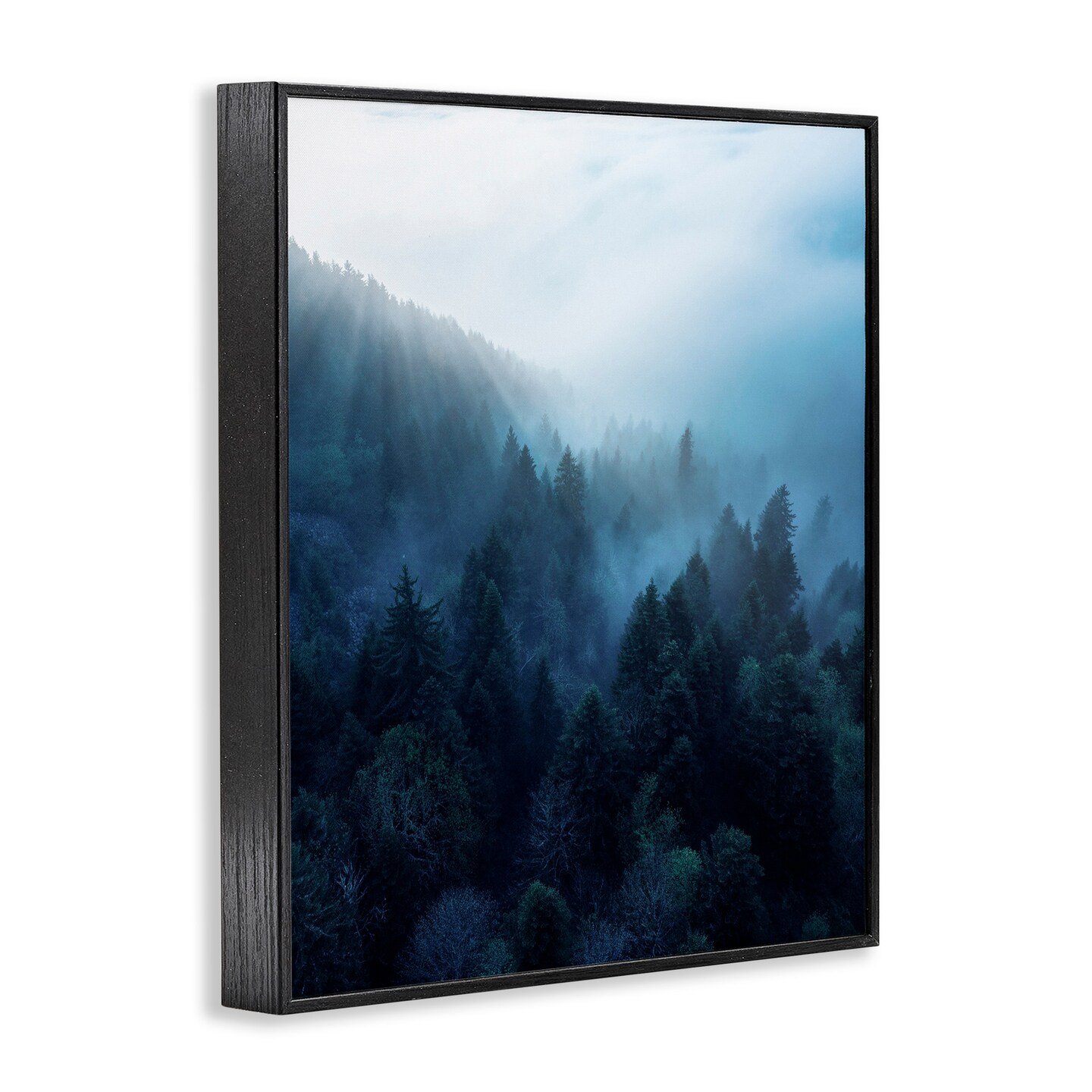 Stupell Industries Daylight over Pine Forest Framed Giclee Art