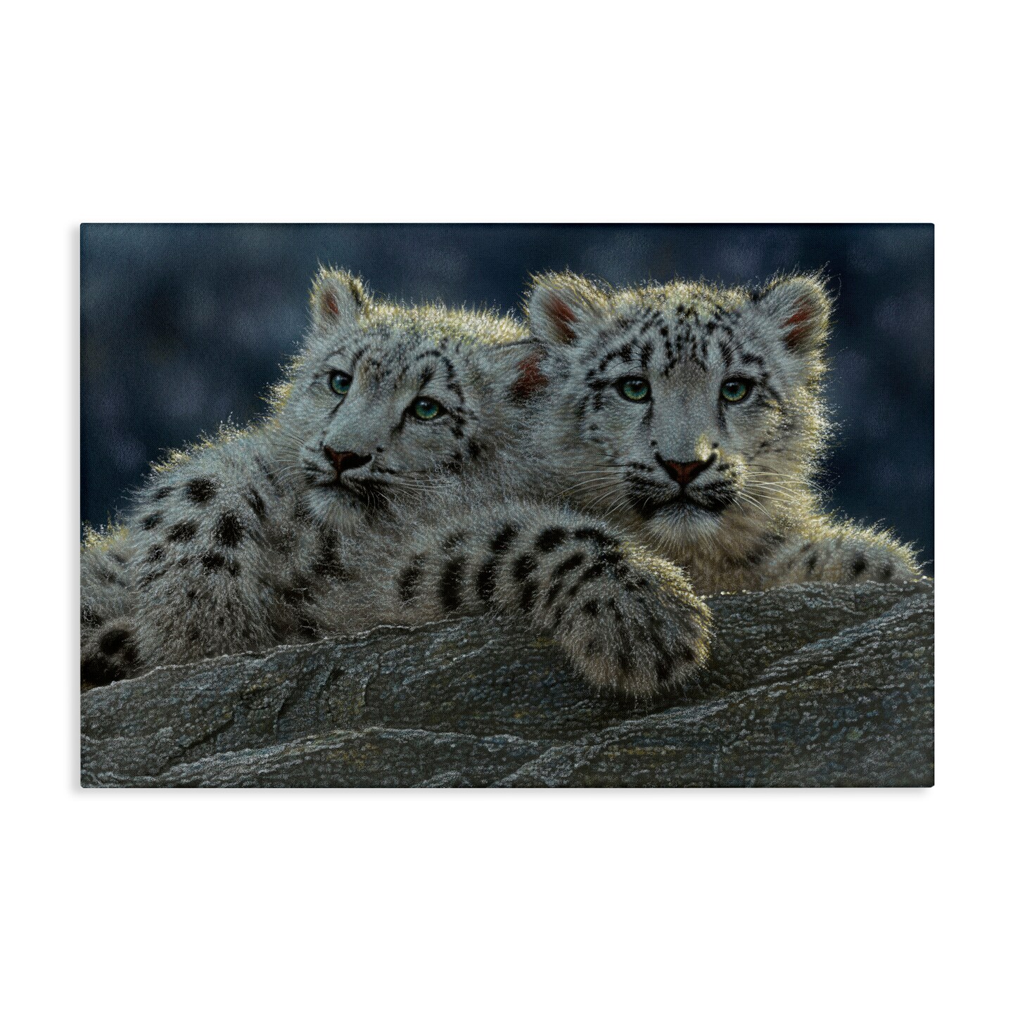 Stupell Industries Snow Leopard Cuddle Canvas, design by Collin Bogle