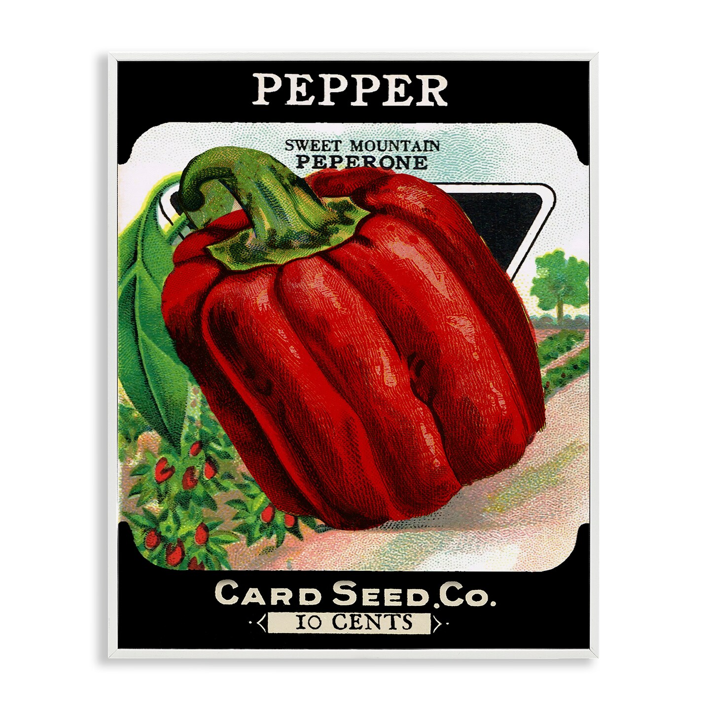 Stupell Industries Vintage Garden Peppers Framed Giclee Design by Lil' Rue